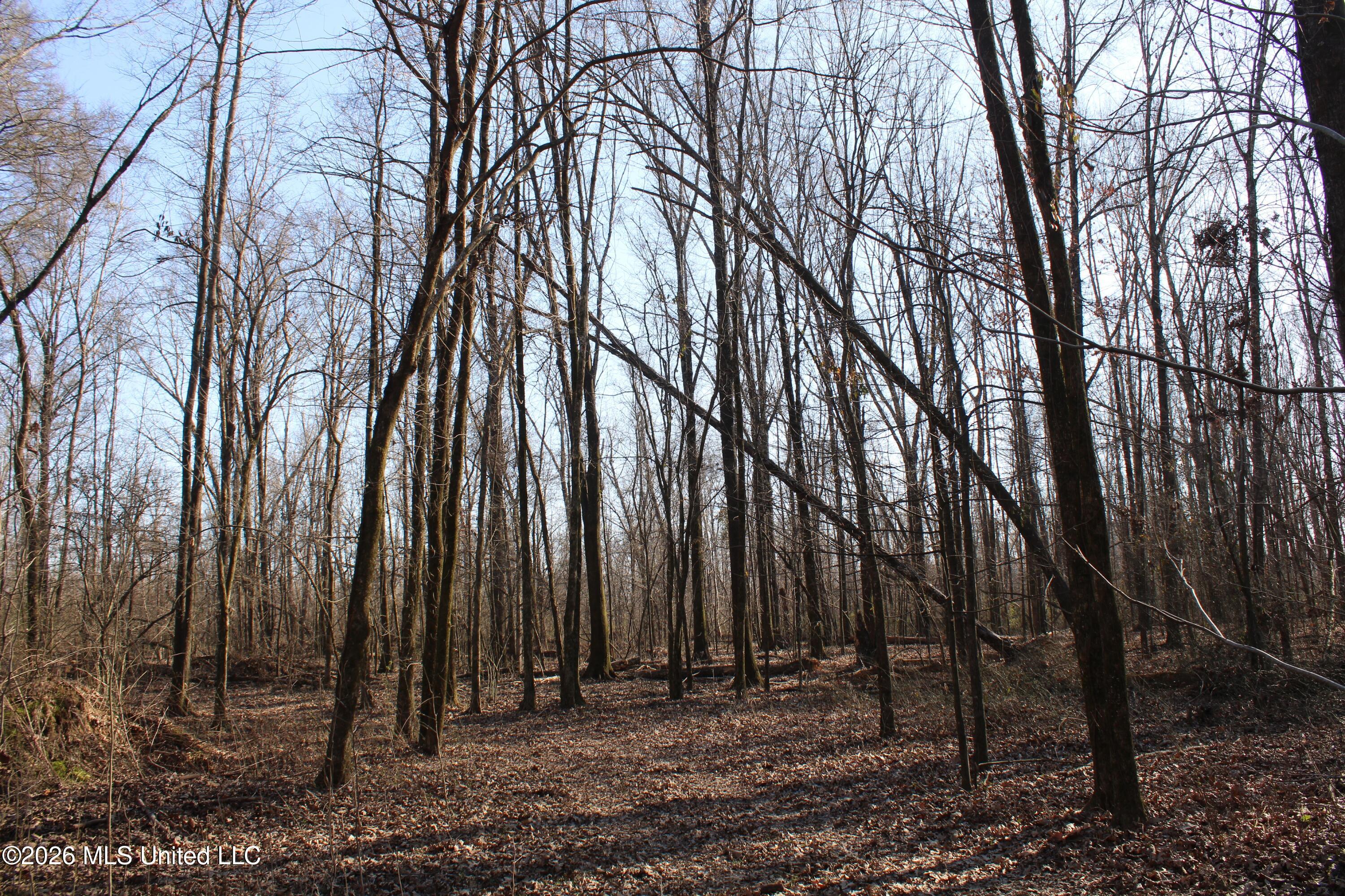 1815 Craft Road Olive Branch, MS 38654 - Photo 20 of 27 IMG_7455