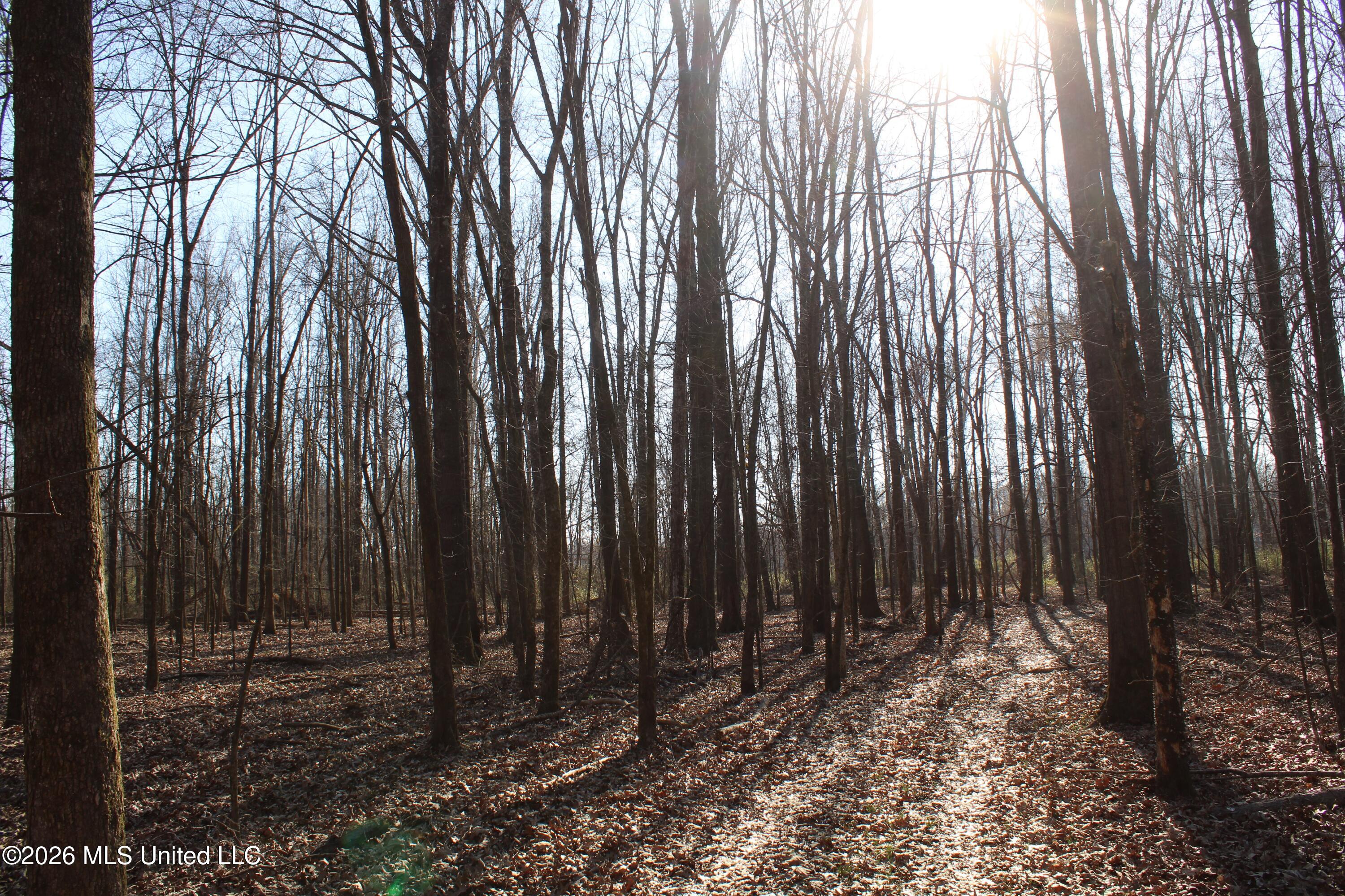 1815 Craft Road Olive Branch, MS 38654 - Photo 21 of 27 IMG_7456