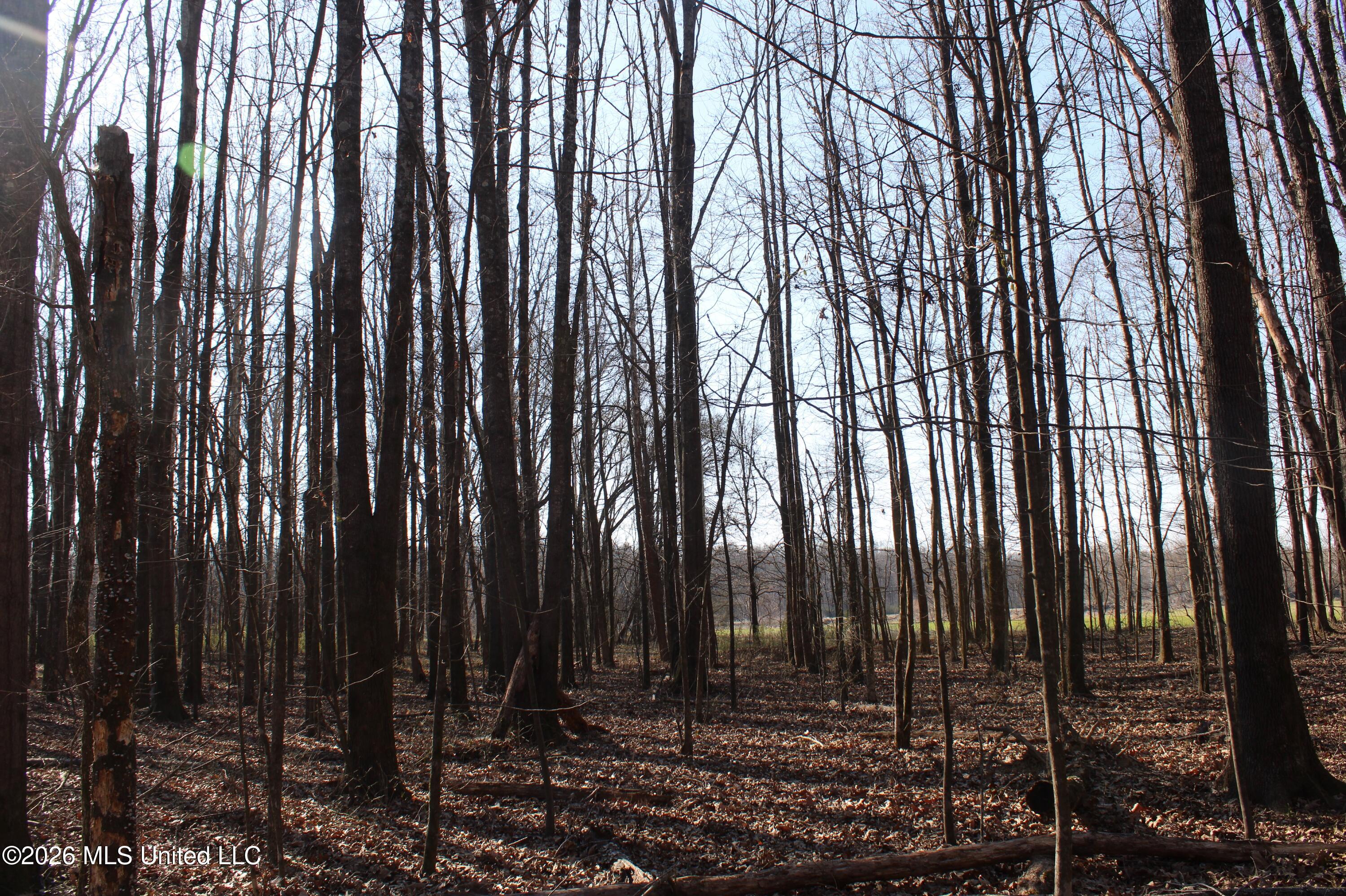 1815 Craft Road Olive Branch, MS 38654 - Photo 22 of 27 IMG_7457