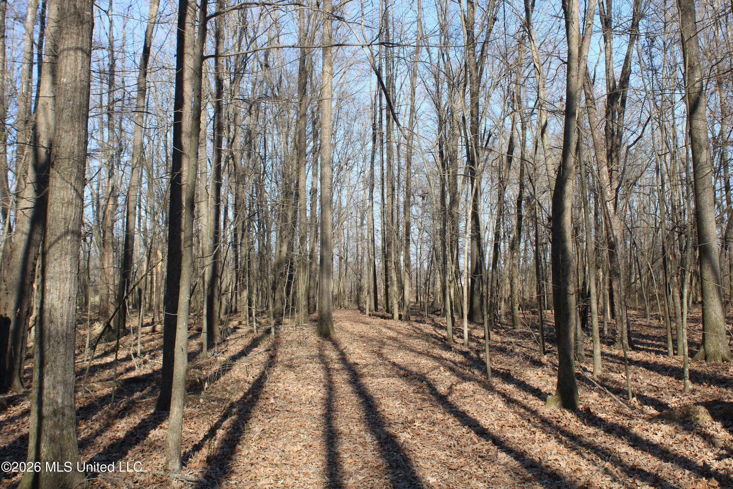 1815 Craft Road Olive Branch, MS 38654 - Photo 23 of 27 IMG_7458