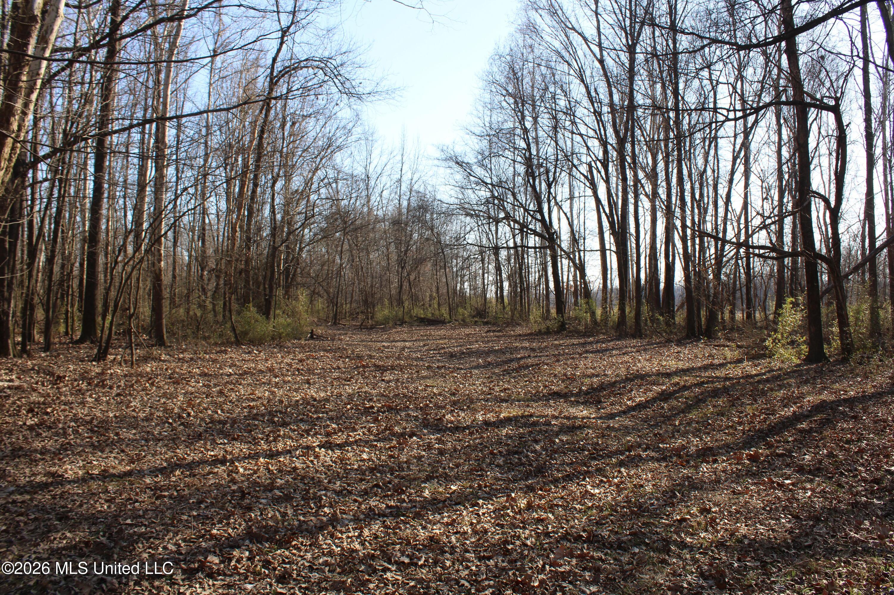 1815 Craft Road Olive Branch, MS 38654 - Photo 24 of 27 IMG_7459