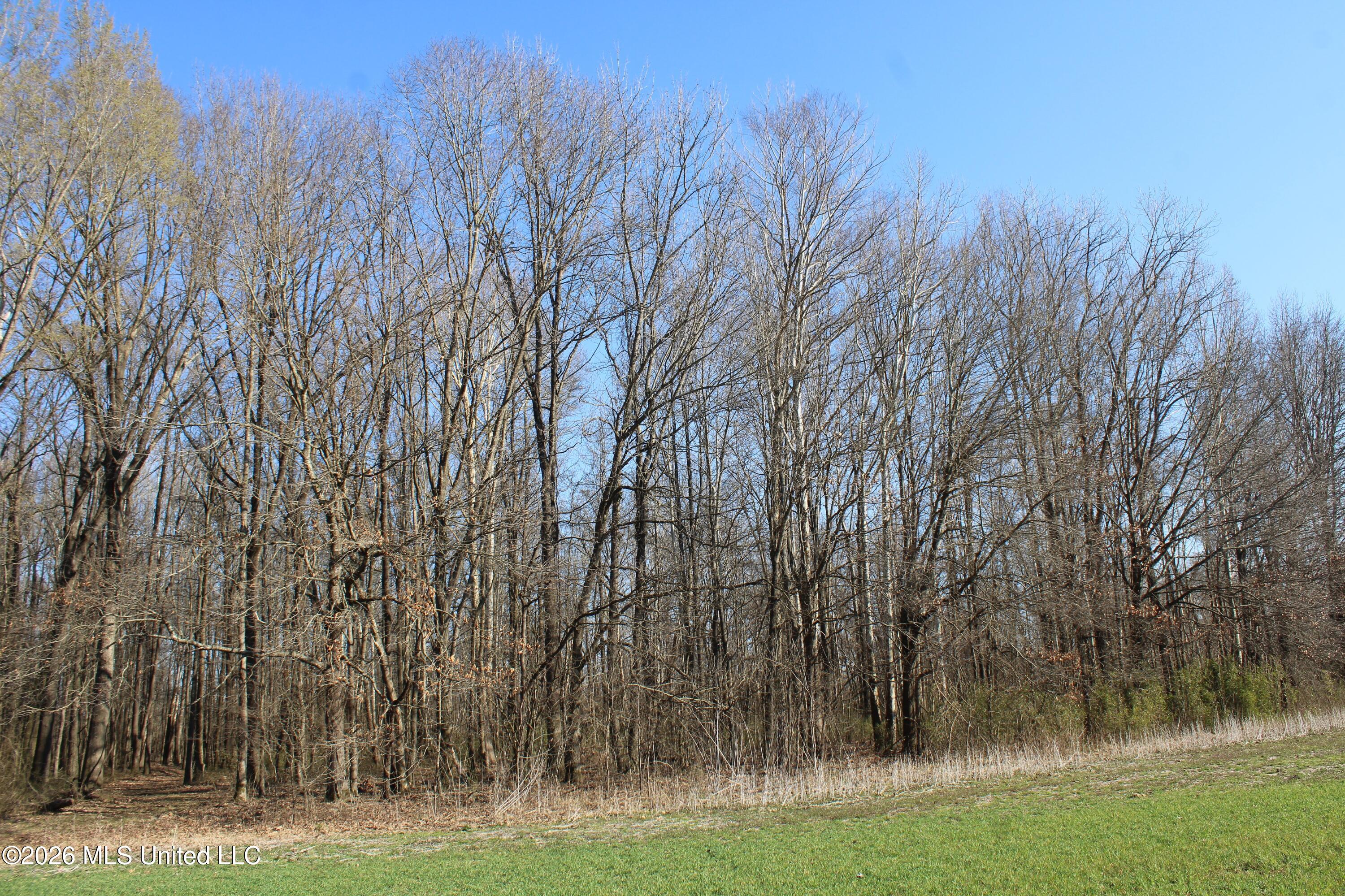 1815 Craft Road Olive Branch, MS 38654 - Photo 25 of 27 IMG_7461