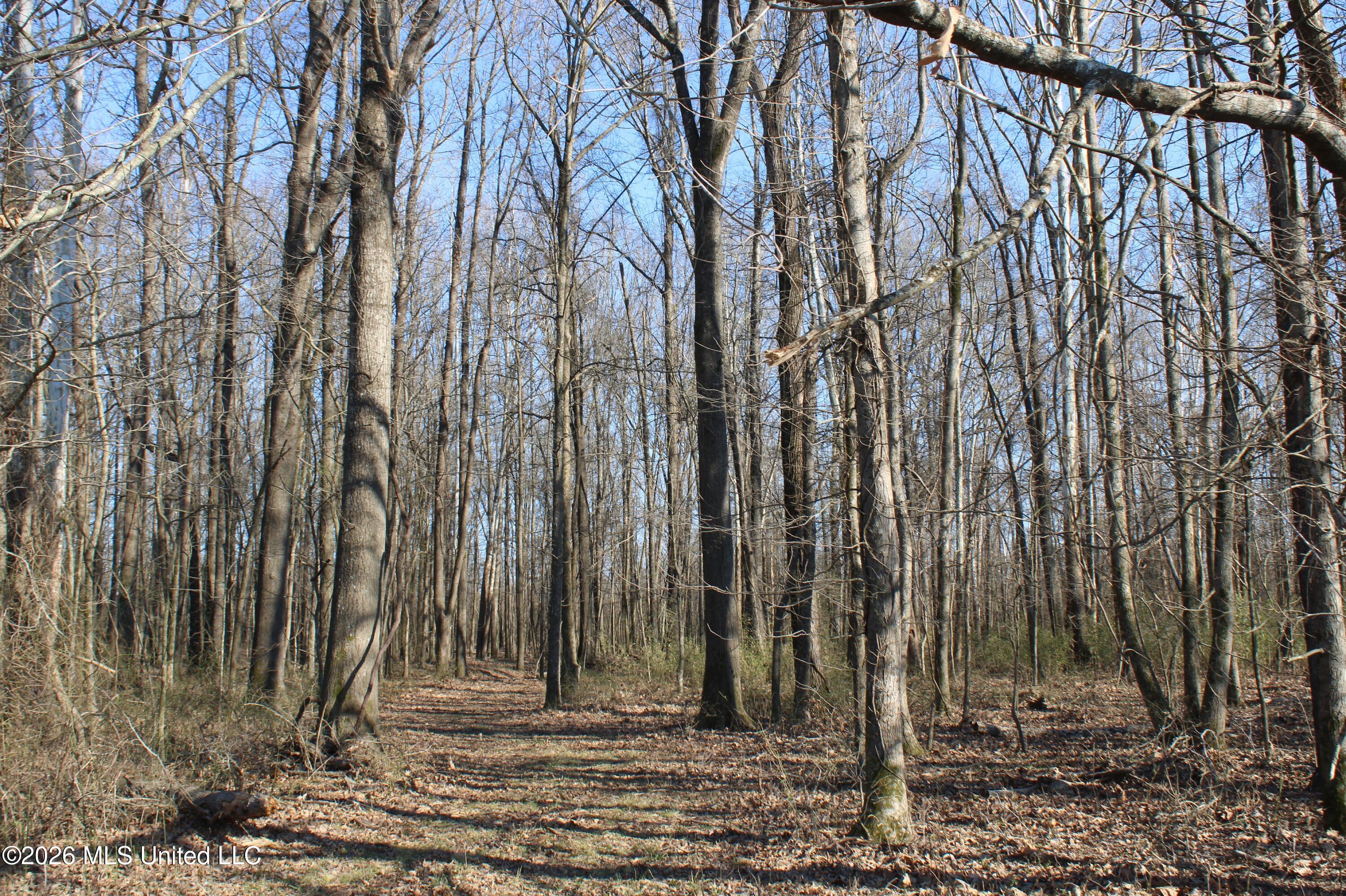 1815 Craft Road Olive Branch, MS 38654 - Photo 26 of 27 IMG_7462