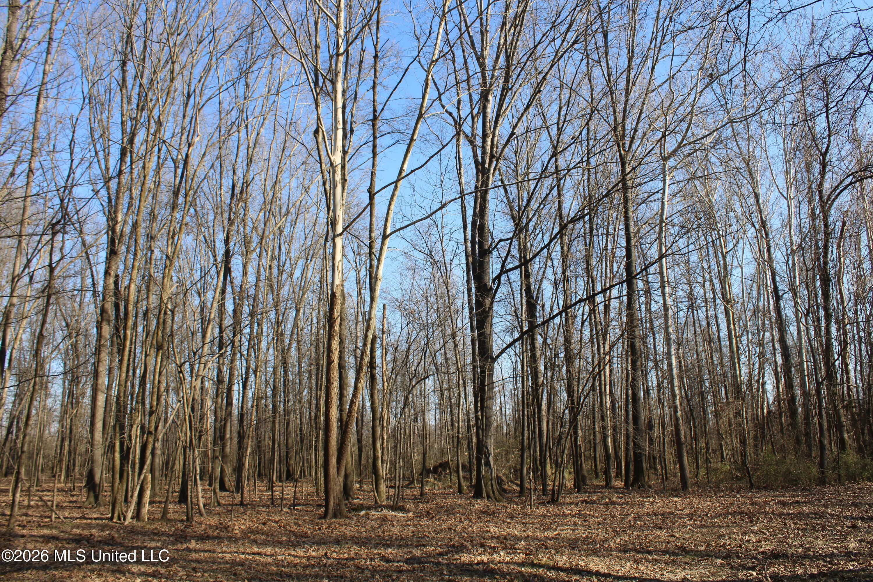 1815 Craft Road Olive Branch, MS 38654 - Photo 27 of 27 IMG_7463