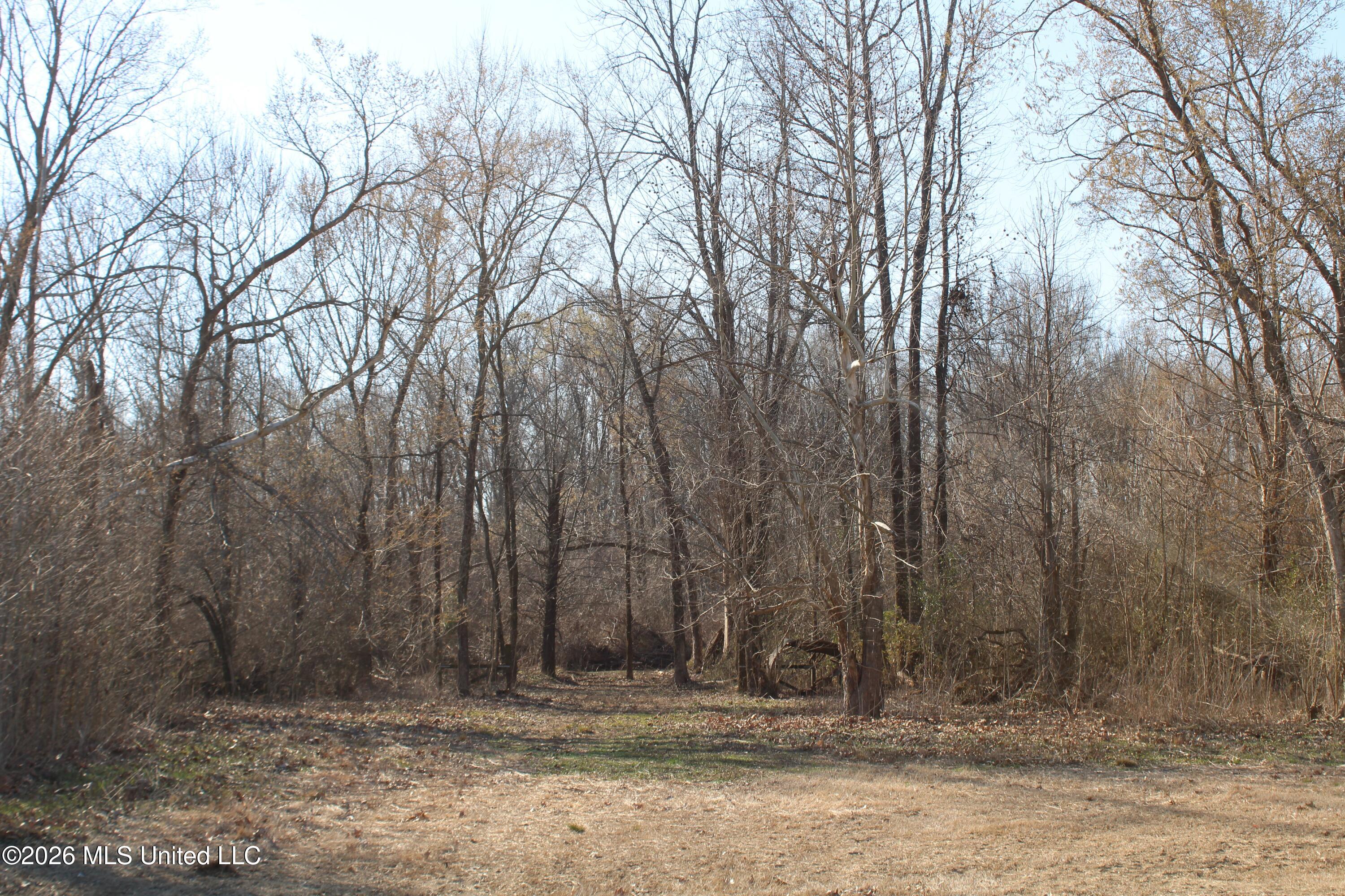 1815 Craft Road Olive Branch, MS 38654 - Photo 9 of 27 IMG_7444