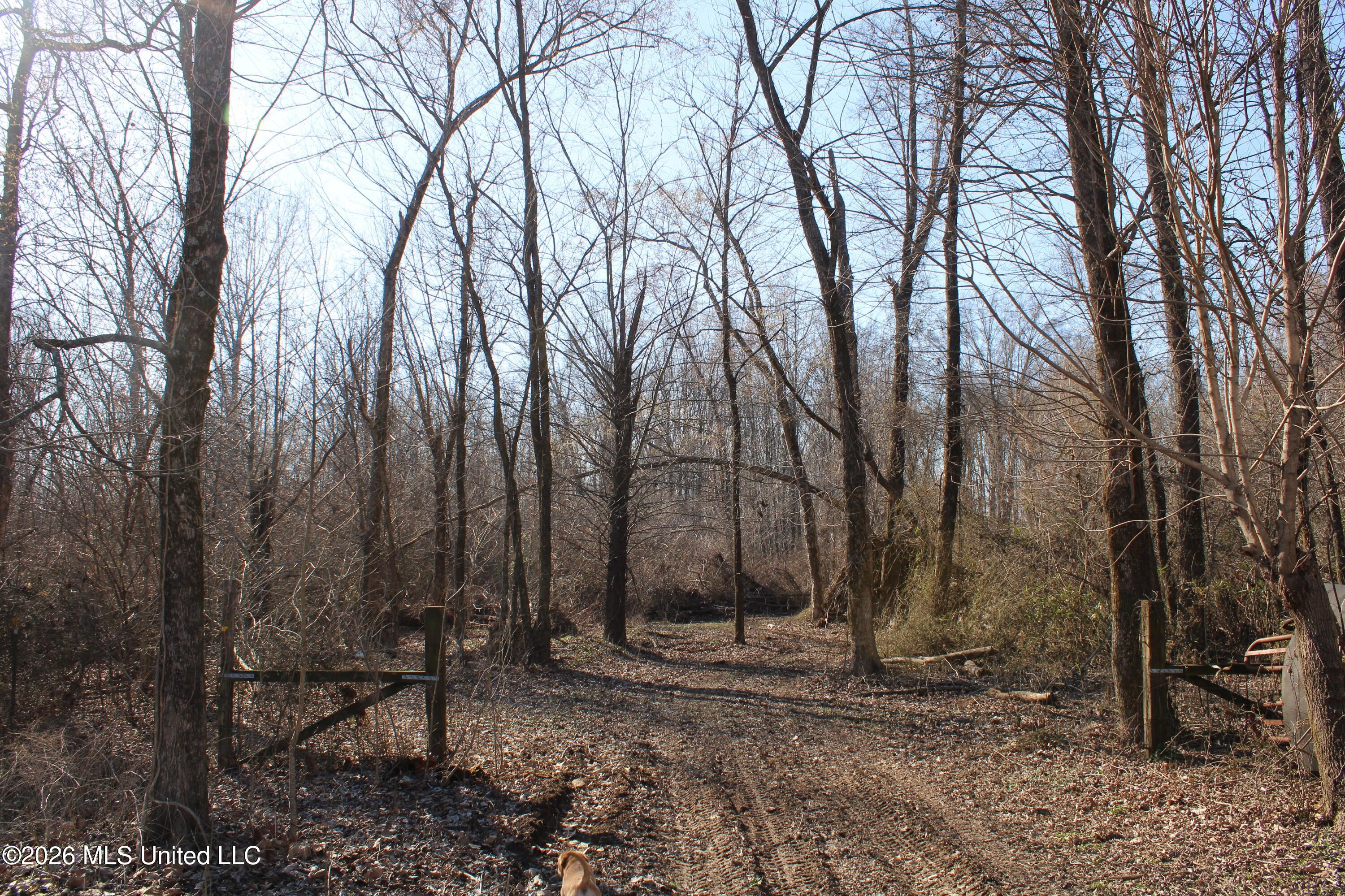 1815 Craft Road Olive Branch, MS 38654 - Photo 10 of 27 IMG_7447