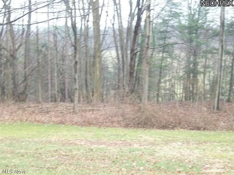 1227 State Line Road Pierpont, OH 44082 - Photo 7 of 18 Gallery Image 7