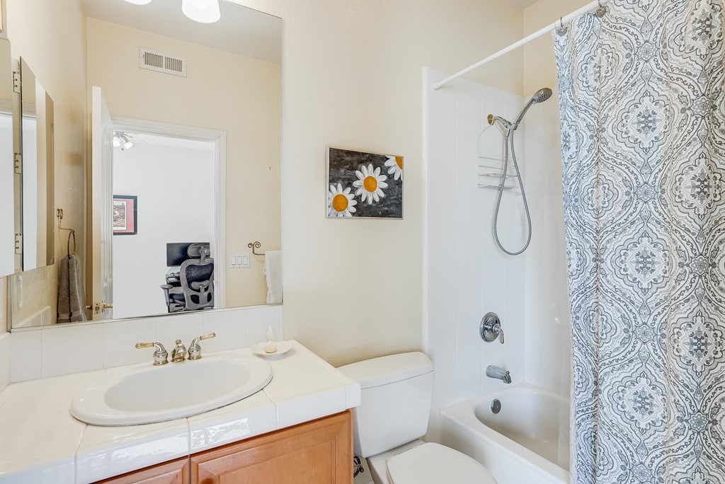 8046 Calle Pinon Carlsbad, CA 92009 - Photo 32 of 51 a bathroom with a sink a toilet and shower