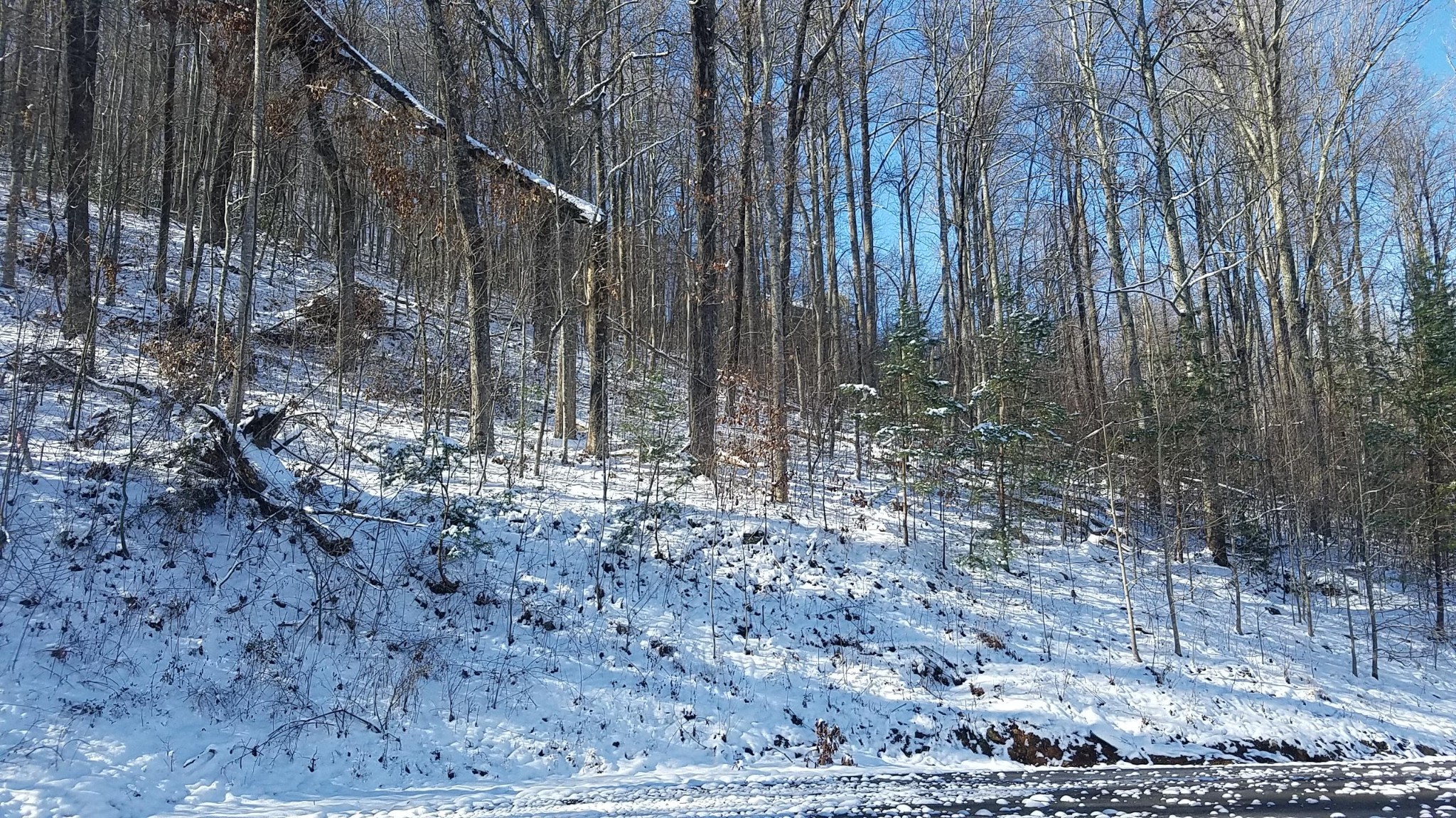 0 Deep Spring Lane Sevierville, TN 37862 - Photo 4 of 7 Gallery Image 4