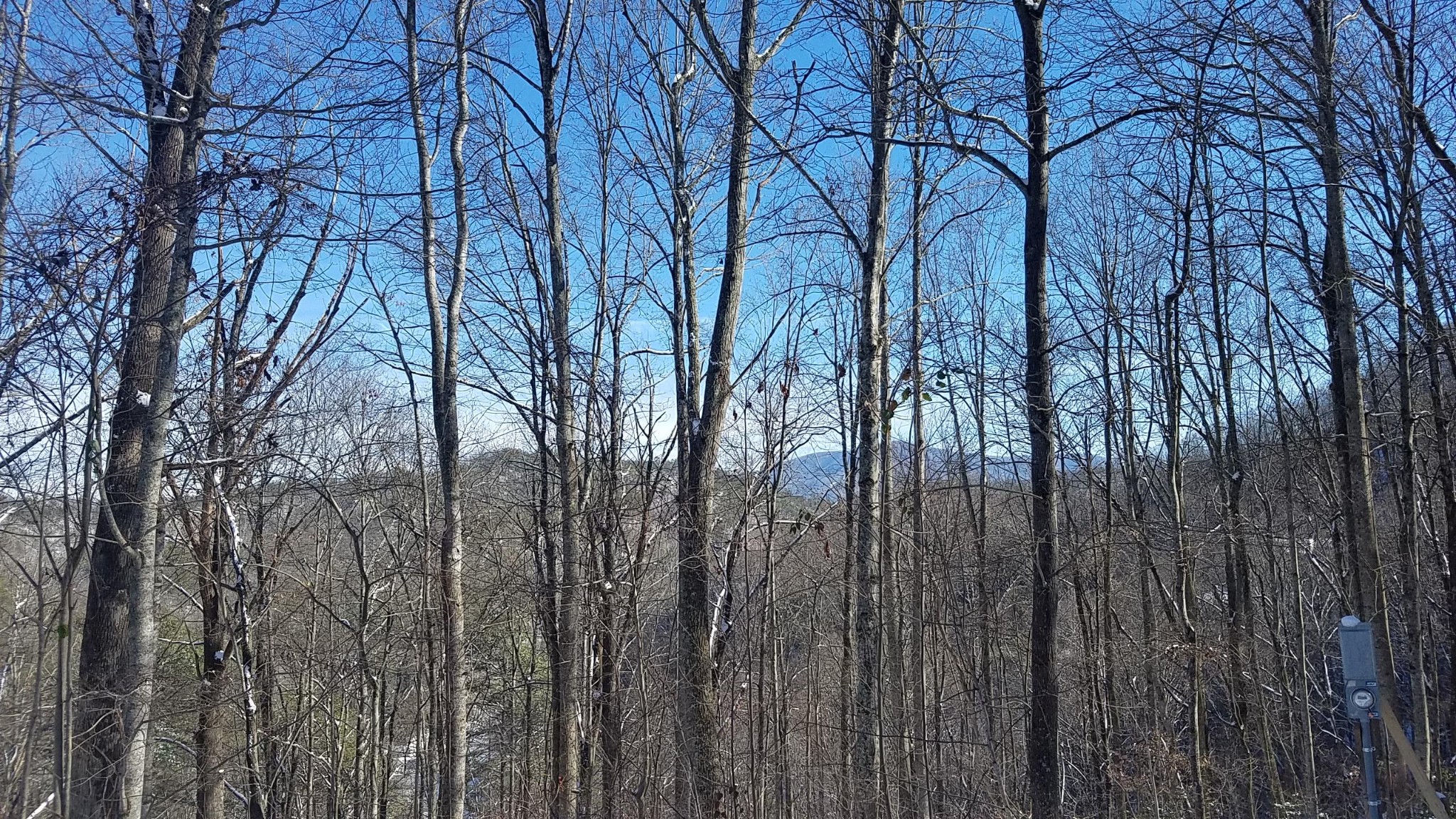 0 Deep Spring Lane Sevierville, TN 37862 - Photo 5 of 7 Gallery Image 5