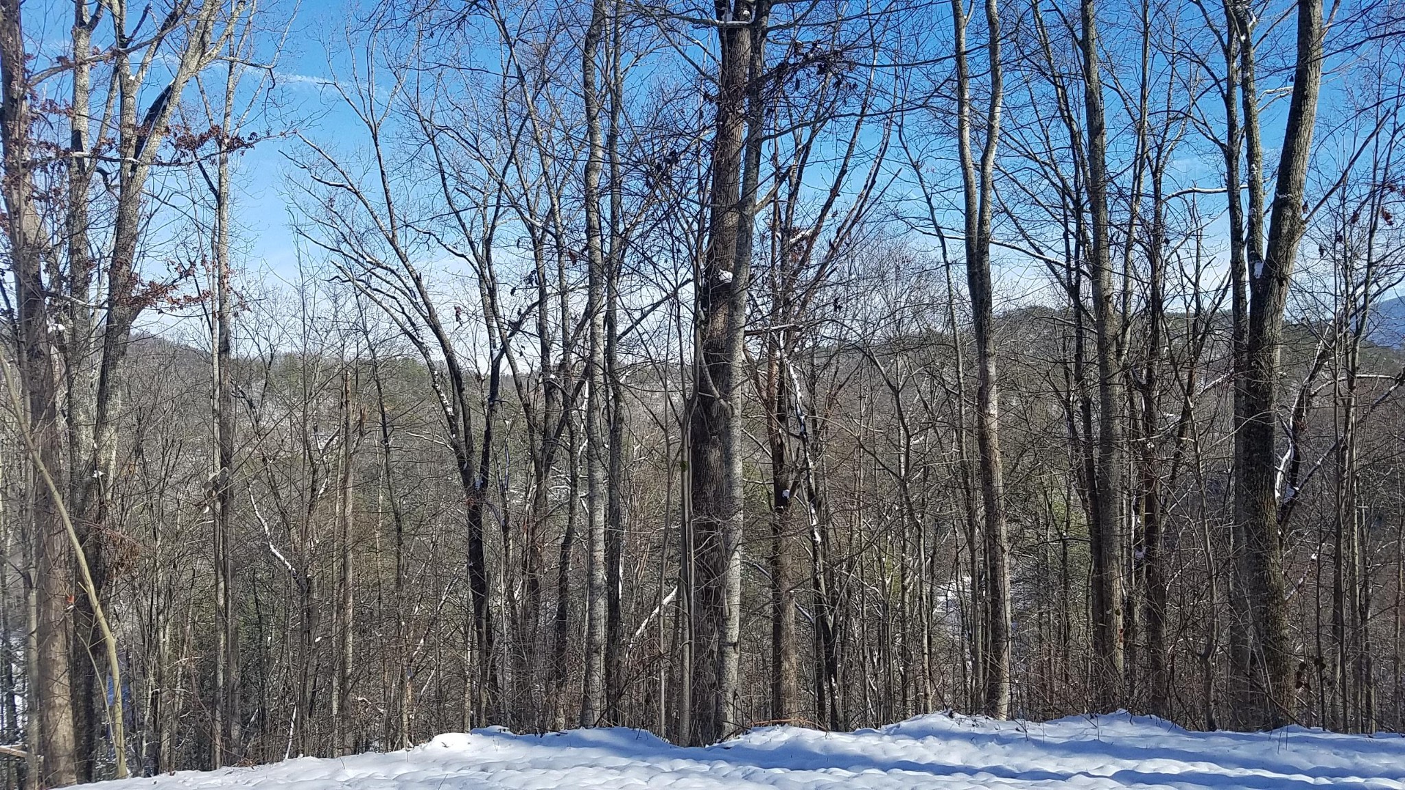0 Deep Spring Lane Sevierville, TN 37862 - Photo 6 of 7 Gallery Image 6