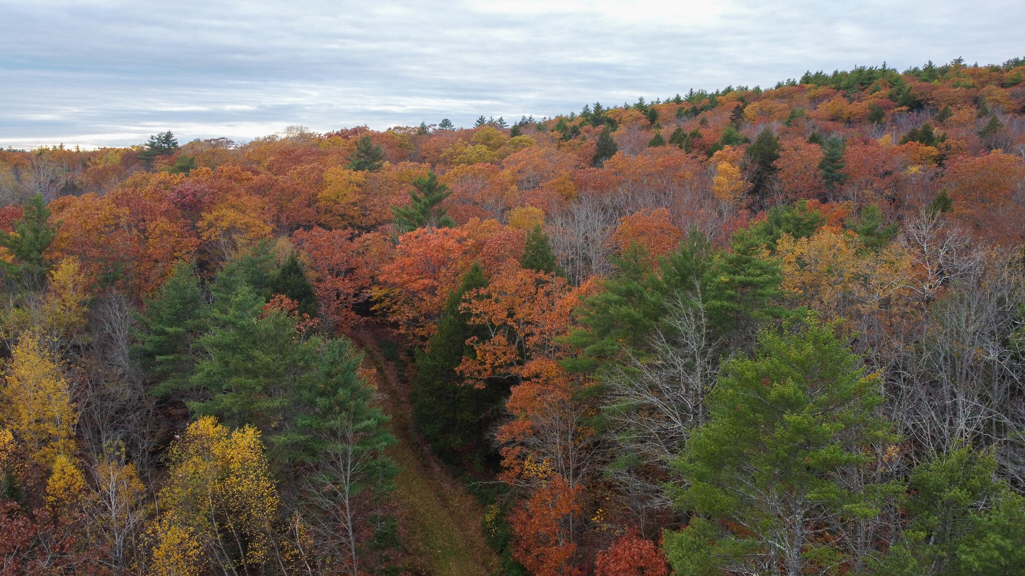 Lot 57 Dodge Road Dresden, ME 04342 - Photo 1 of 13 1