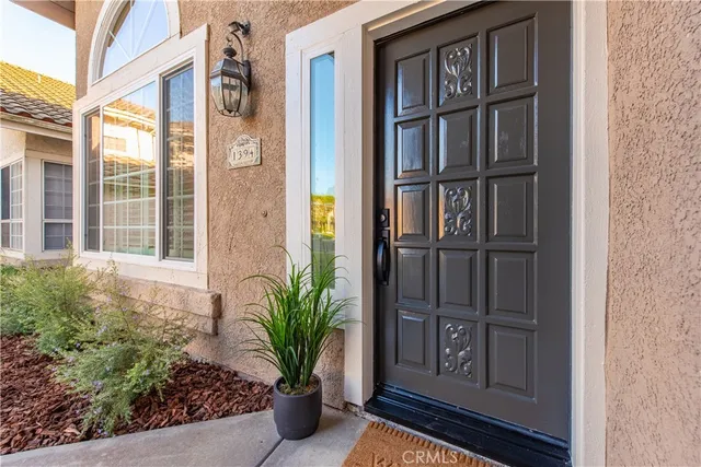 a view of a potted plants in front of a building