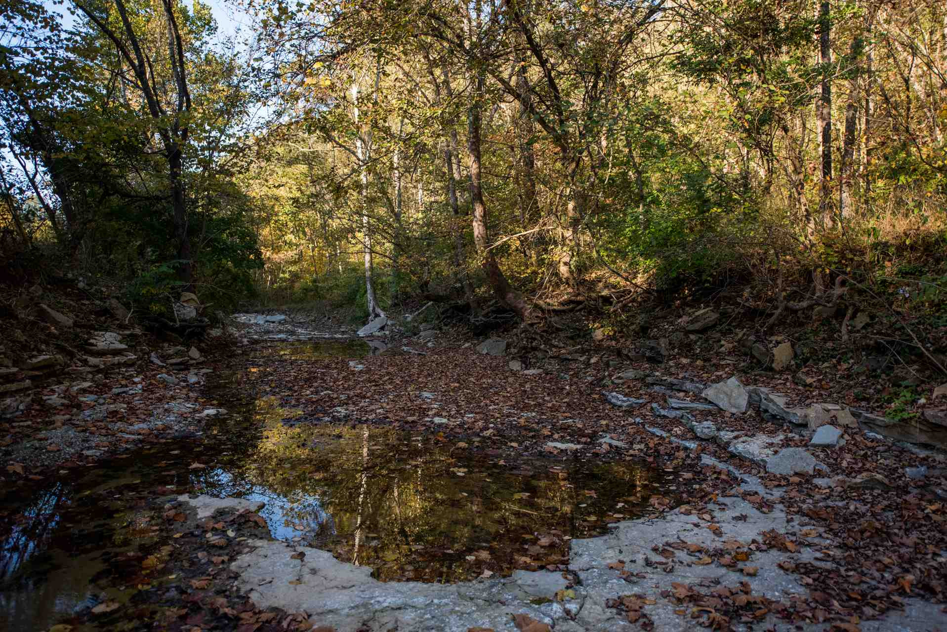 0 Bradford Tract B Road Foster, KY 41043 - Photo 6 of 9