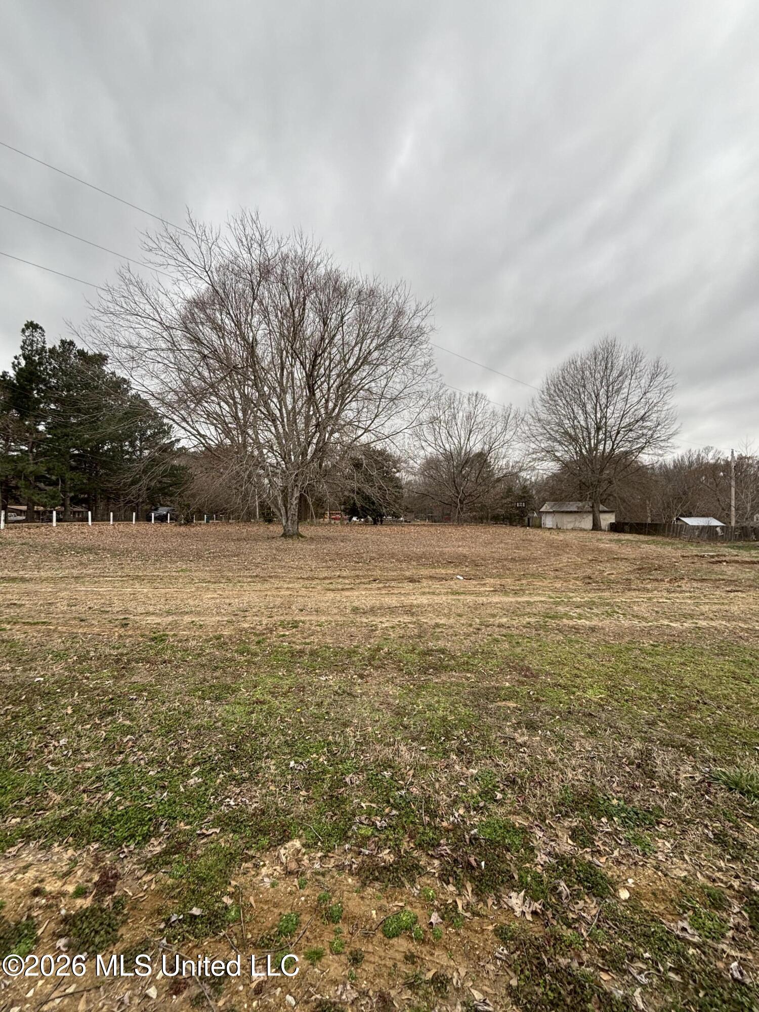 1560 Wilborne Road Southaven, MS 38672 - Photo 11 of 75 Photo Feb 25 2026, 2 41 29 PM