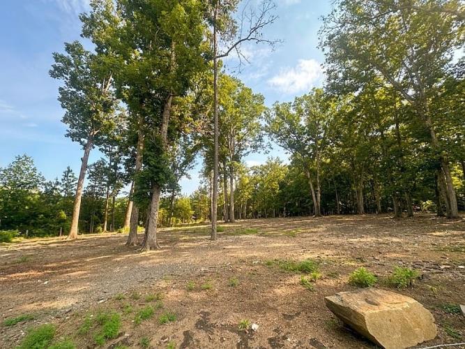 6720 Mill Grove Road Indian Trail, NC 28079 - Photo 10 of 28 Gallery Image 10