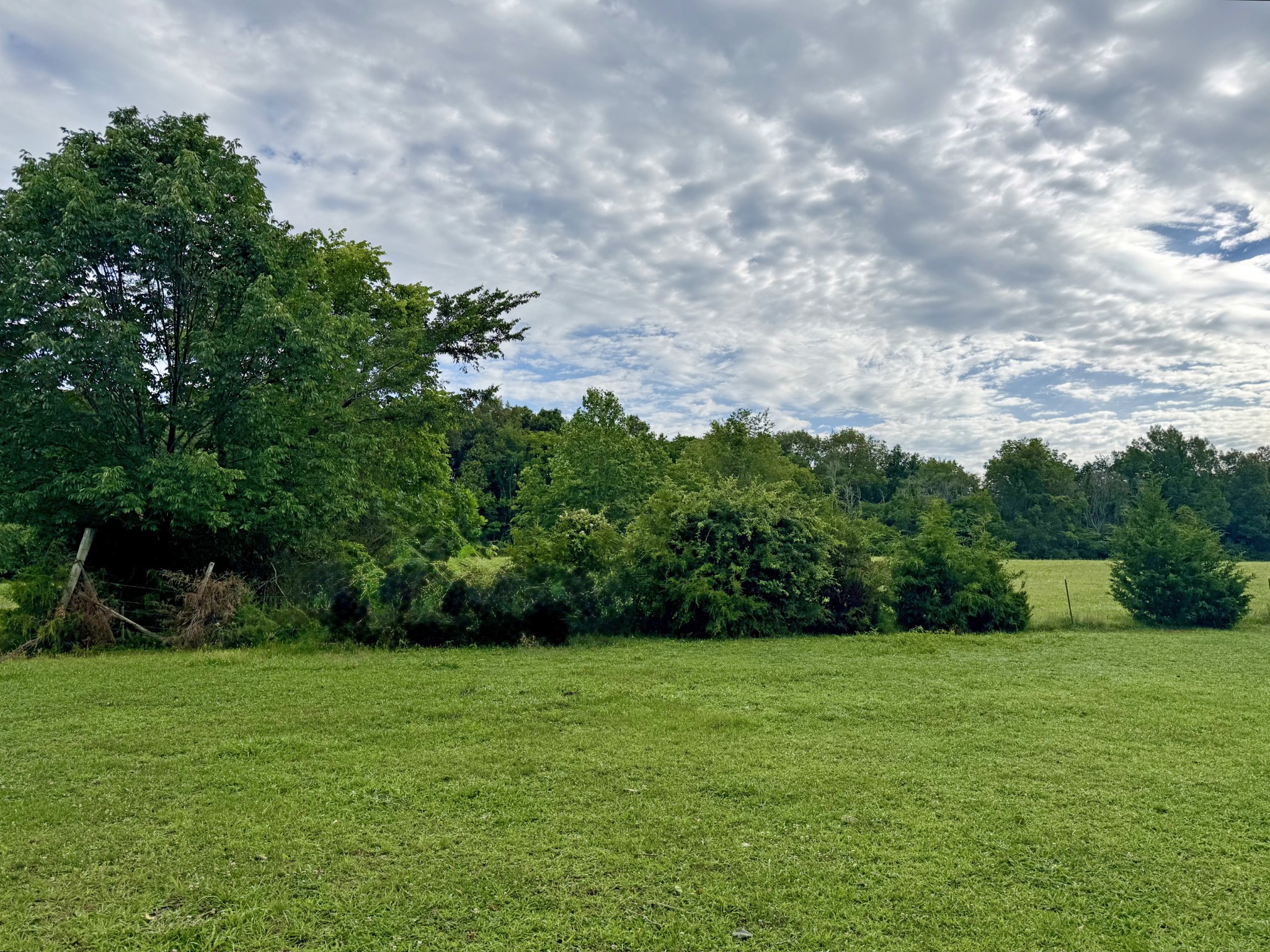 0 Gosnell Road Franklin, KY 42134 - Photo 4 of 7
