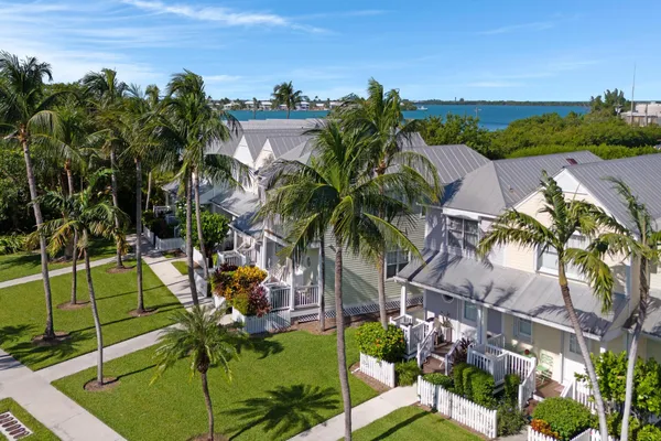 a couple of palm trees in front of house