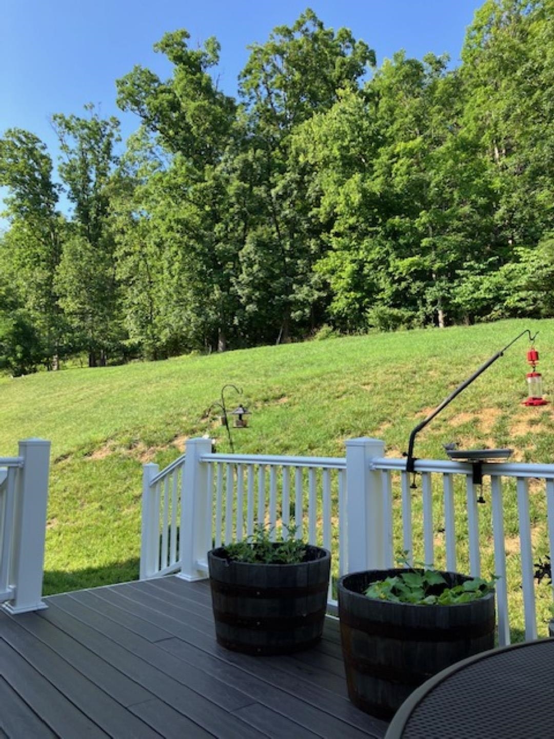 1203 Stocker Street Staunton, VA 24401 - Photo 33 of 35 a front view of a house with garden
