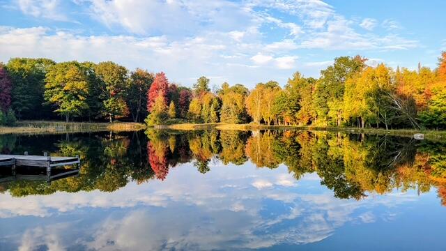 11001 Little George Lake Road Gladwin, MI 48624 - Photo 35 of 45
