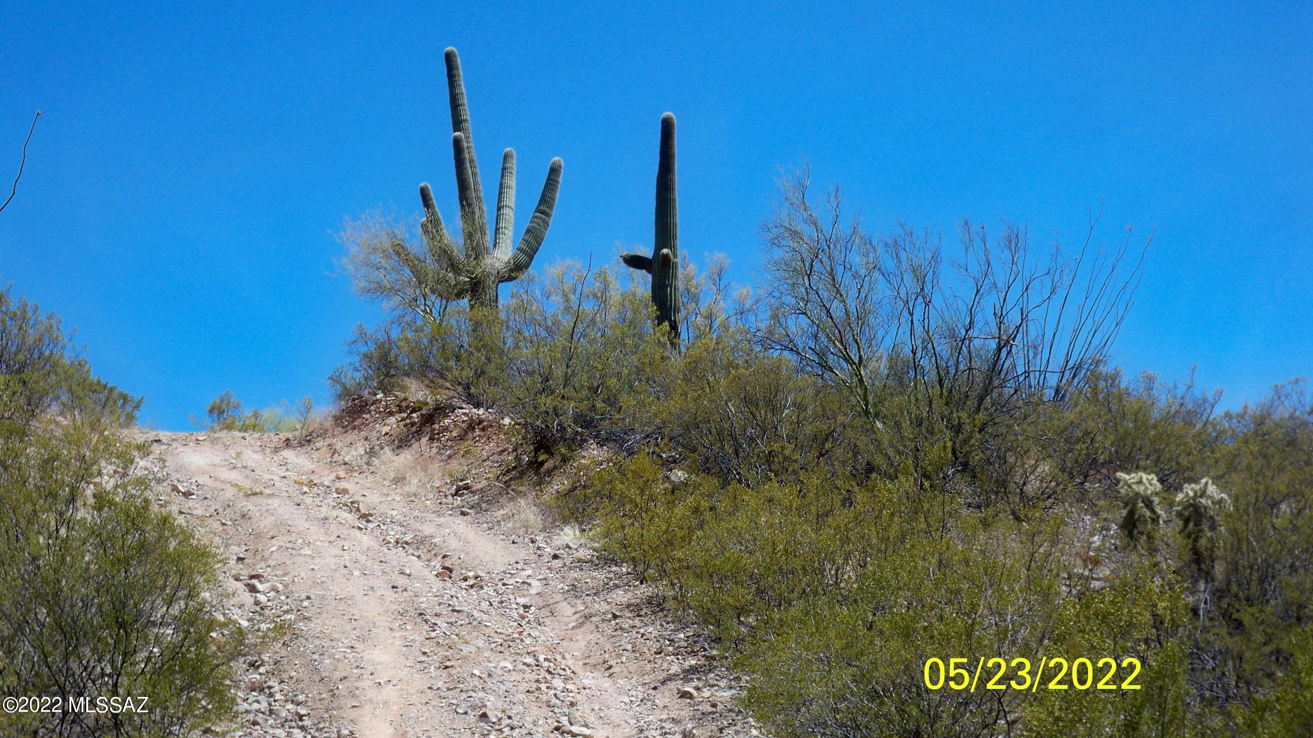3 3c Ranch Road, Unit 1 San Manuel, AZ 85631 - Photo 4 of 4 a view of a pathway with a big yard