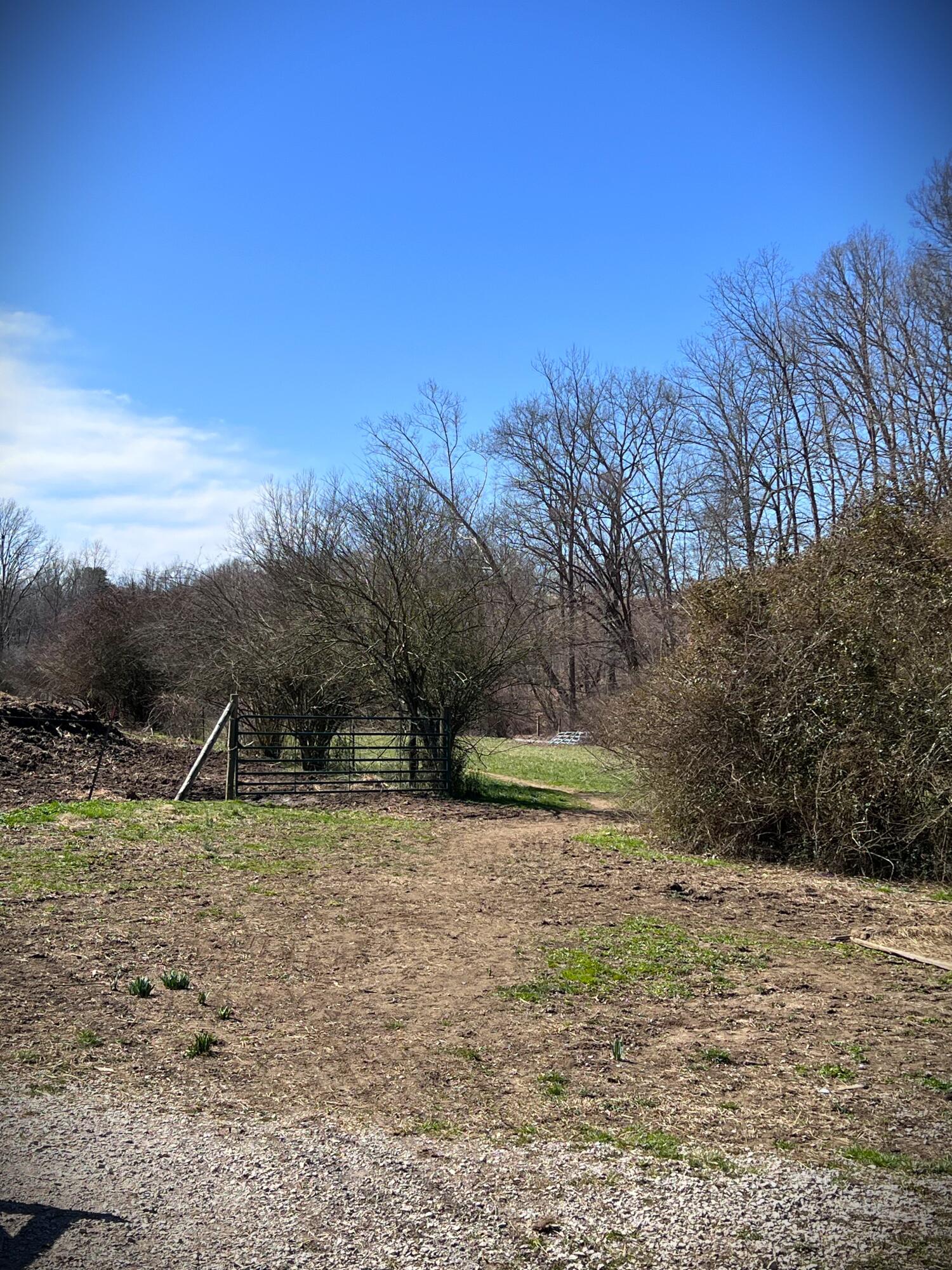 984 Dixon Branch Road London, KY 40741 - Photo 34 of 44 IMG_5454(1)