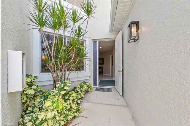 a view of a potted plants with sky view