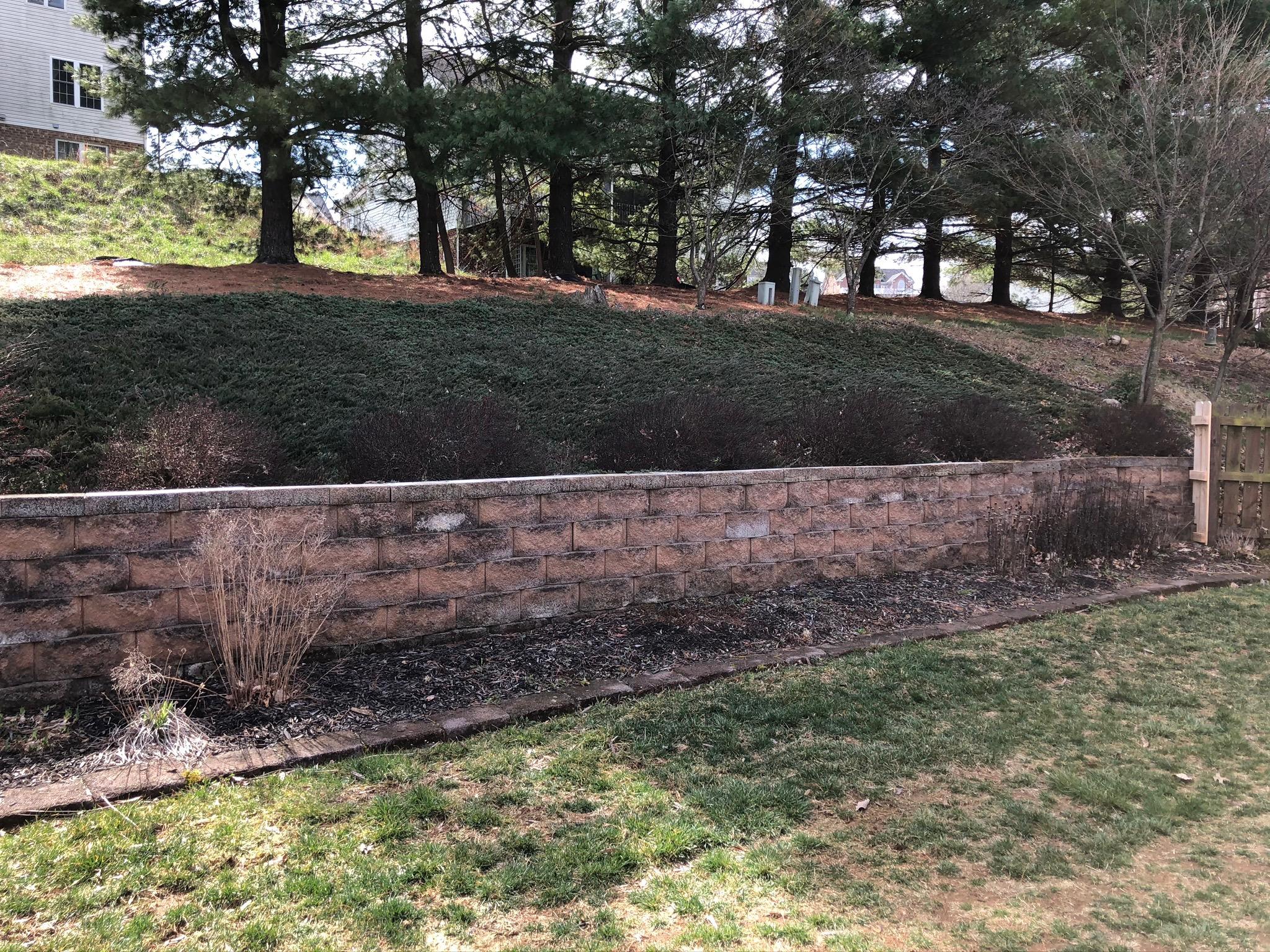 1678 Millbridge Road Salem, VA 24153 - Photo 17 of 17 Fenced Back Yard