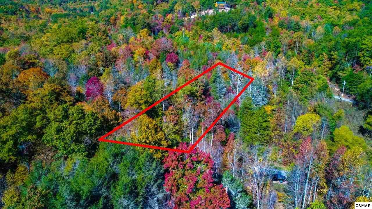 1 Bogard Crk Road Cosby, TN 37722 - Photo 4 of 28 Gallery Image 4