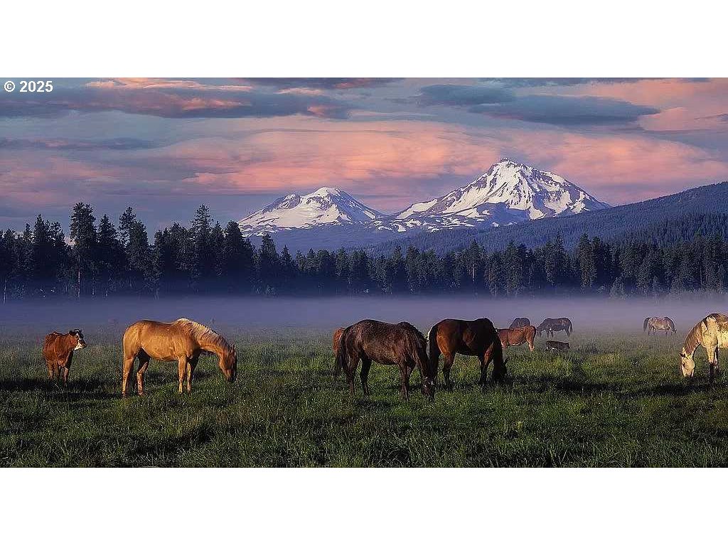 11122 Bunk House Lane Redmond, OR 97756 - Photo 28 of 30