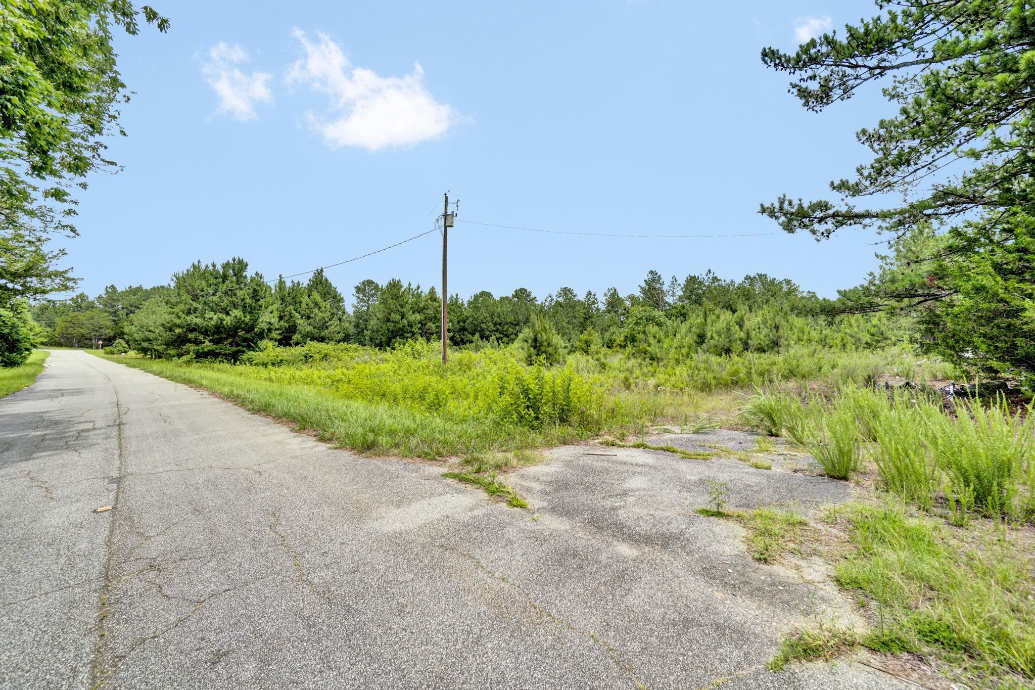 0 Stomp Springs Circle Clinton, SC 29325 - Photo 2 of 22