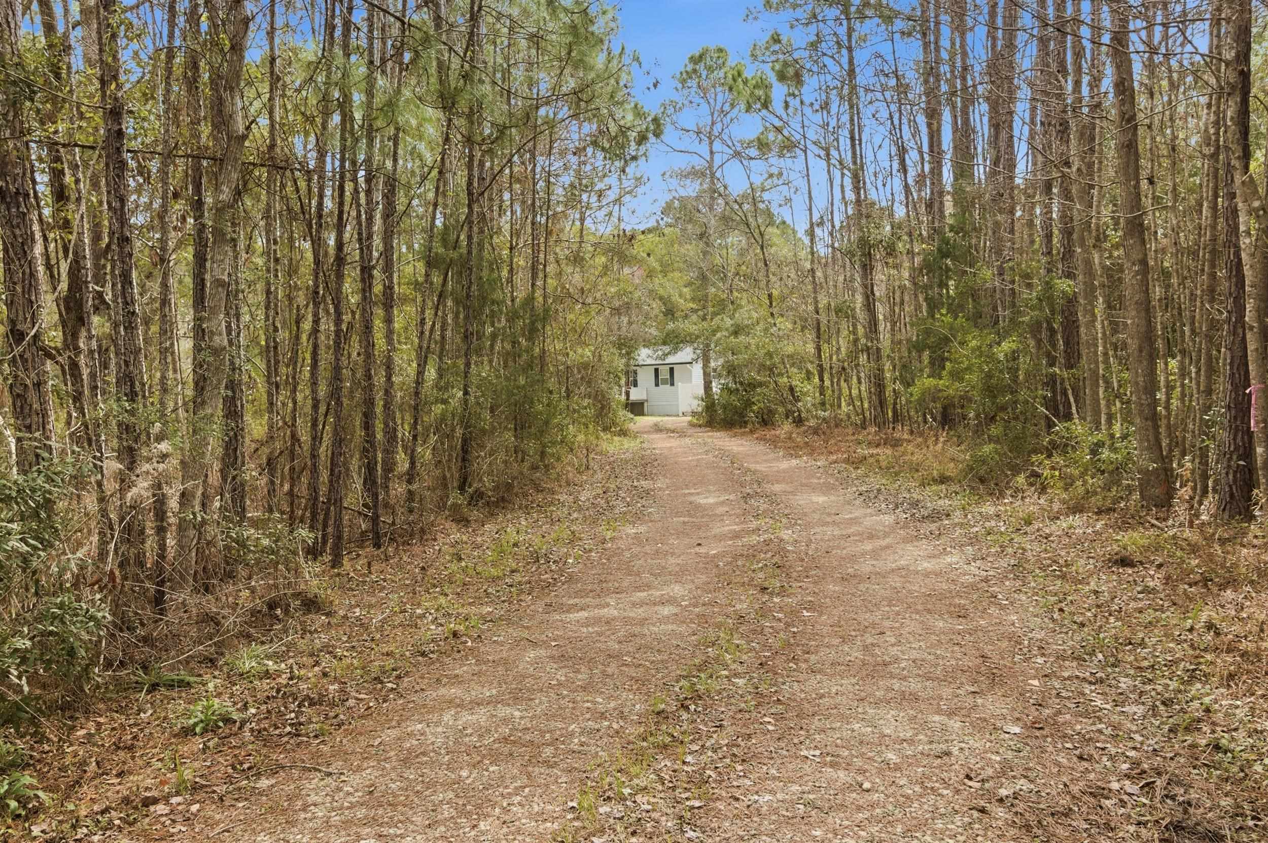 137 Dickson Bay Road Panacea, FL 32346 - Photo 29 of 45