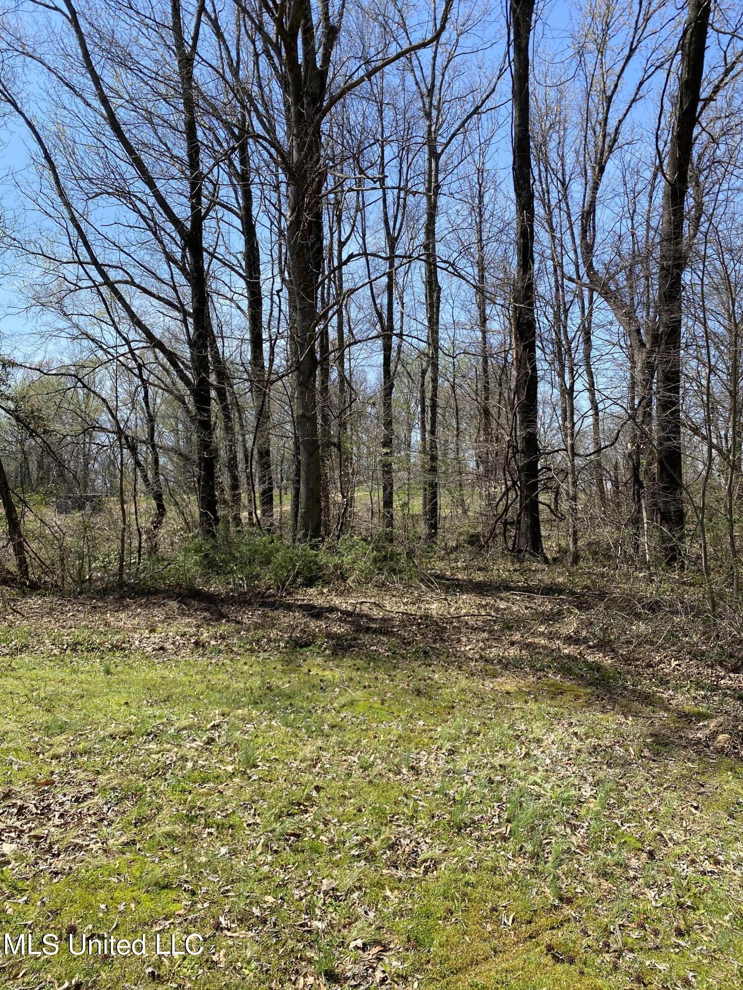 3160 Bluff Road Coldwater, MS 38618 - Photo 18 of 19 2022-04-01 13.55.39