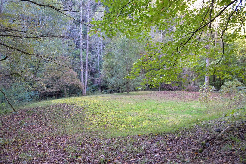 1902 Wears Valley Road Sevierville, TN 37862 - Photo 30 of 48 Gallery Image 30