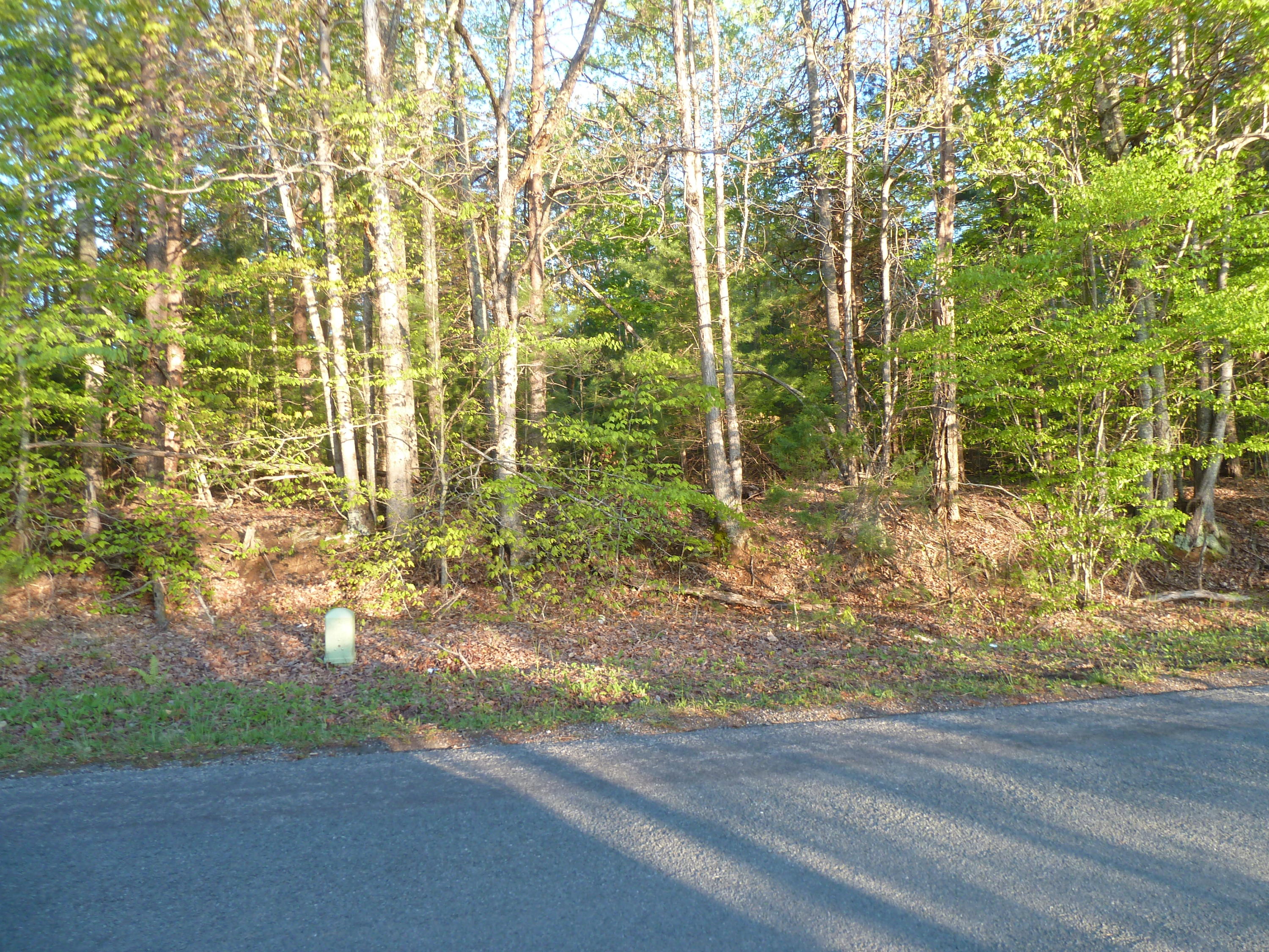 0 Rakes Road Rocky Mount, VA 24151 - Photo 5 of 6 a view of a backyard
