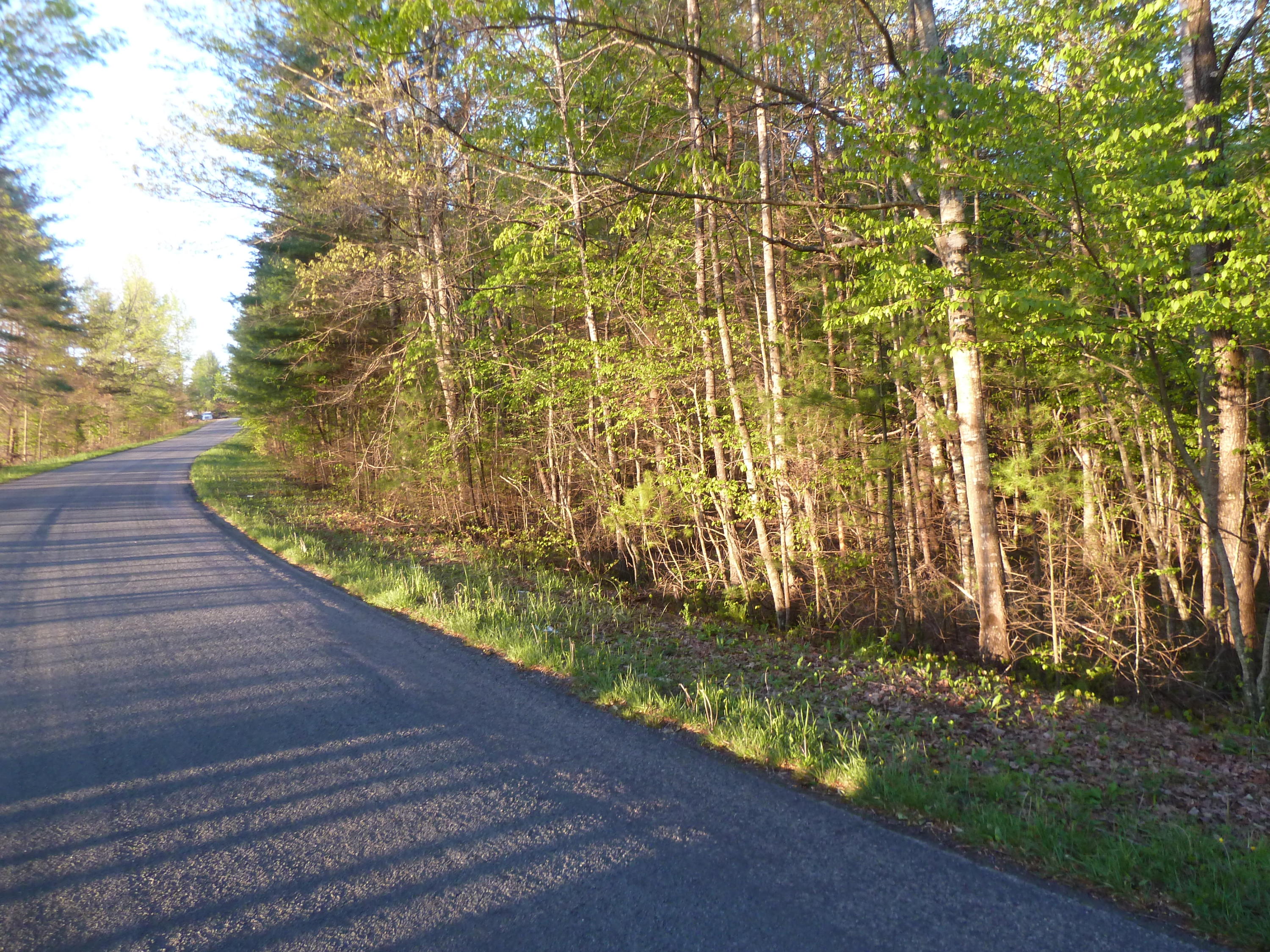0 Rakes Road Rocky Mount, VA 24151 - Photo 6 of 6