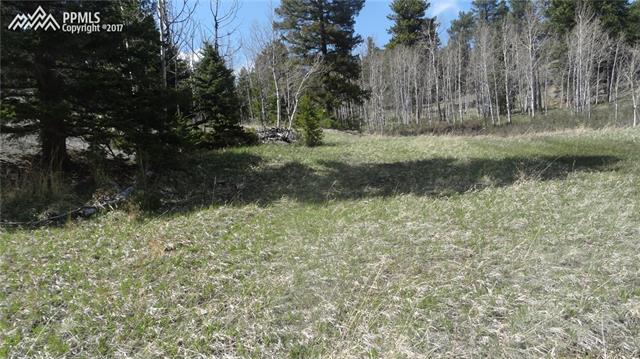 325 Valley Road Florissant, CO 80816 - Photo 10 of 17
