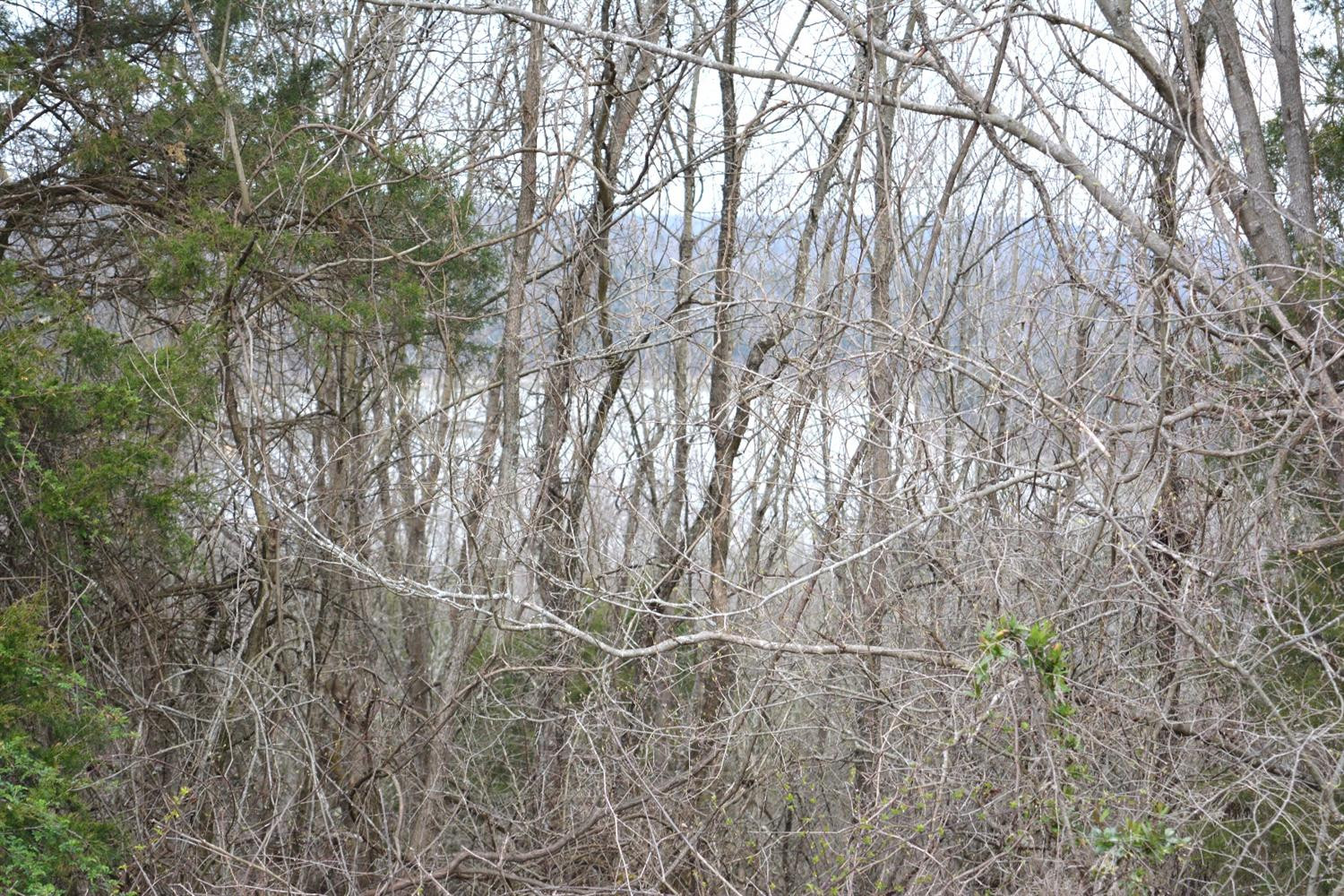 1 Ashes Creek Road Bloomfield, KY 40008 - Photo 8 of 21 Photo 8