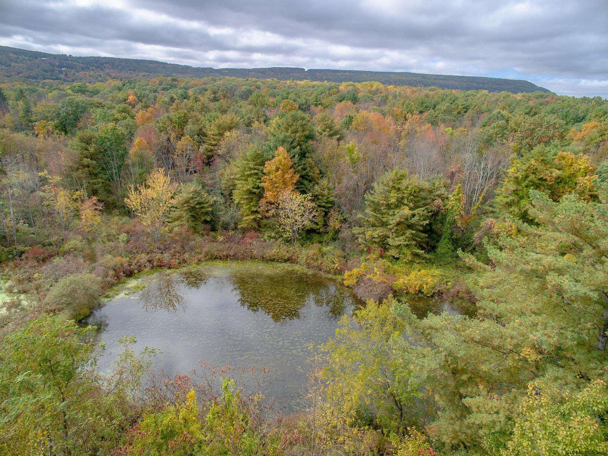 39 N Road New Scotland, NY 12041 - Photo 34 of 40 Photo 34