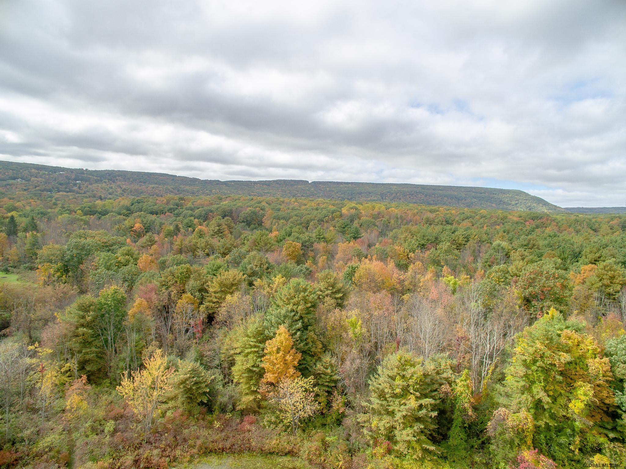 39 N Road New Scotland, NY 12041 - Photo 35 of 40 Photo 35