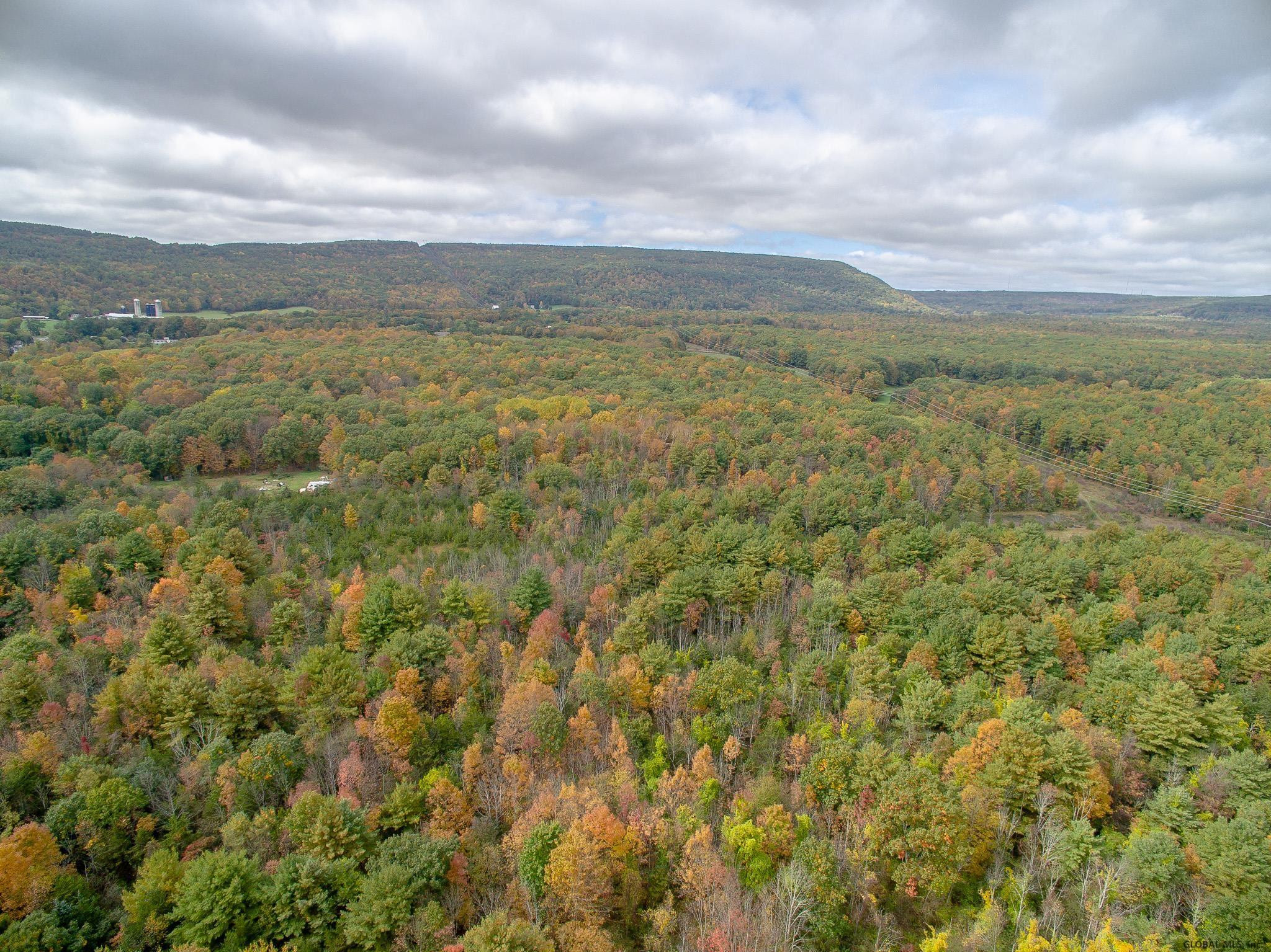 39 N Road New Scotland, NY 12041 - Photo 37 of 40 Photo 38
