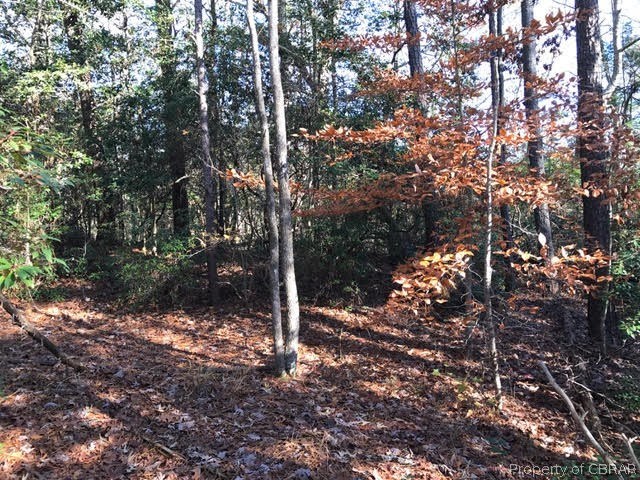 9 Walnut Road Kilmarnock, VA 22482 - Photo 2 of 5