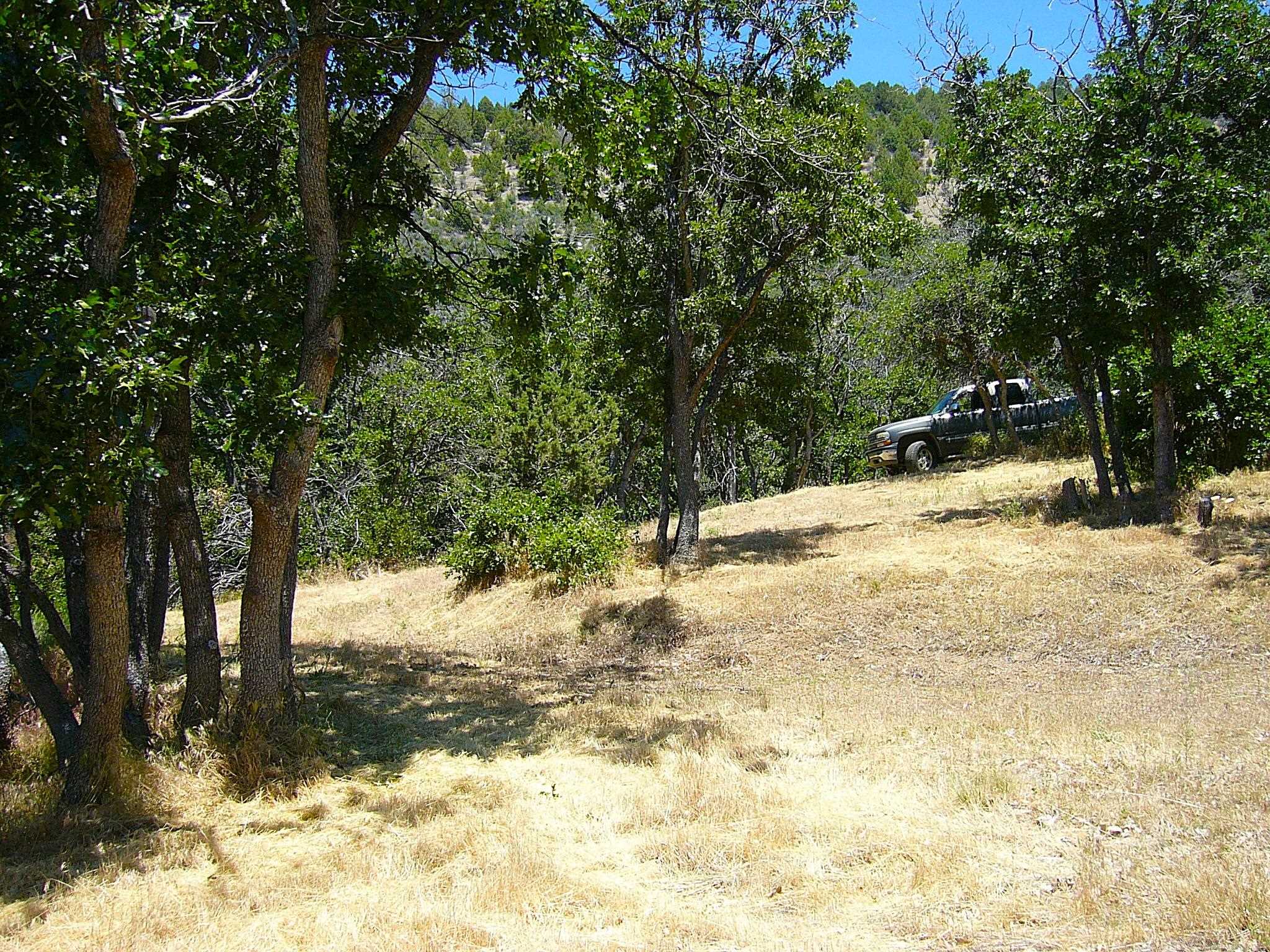 40 Acres Off Scarface Road Gazelle, CA 96034 - Photo 13 of 27 Gallery Image 13