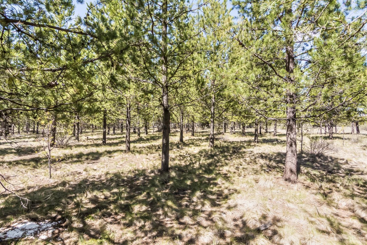 71 Twin Rivers Drive Bend, OR 97707 - Photo 16 of 17 Additional Photo