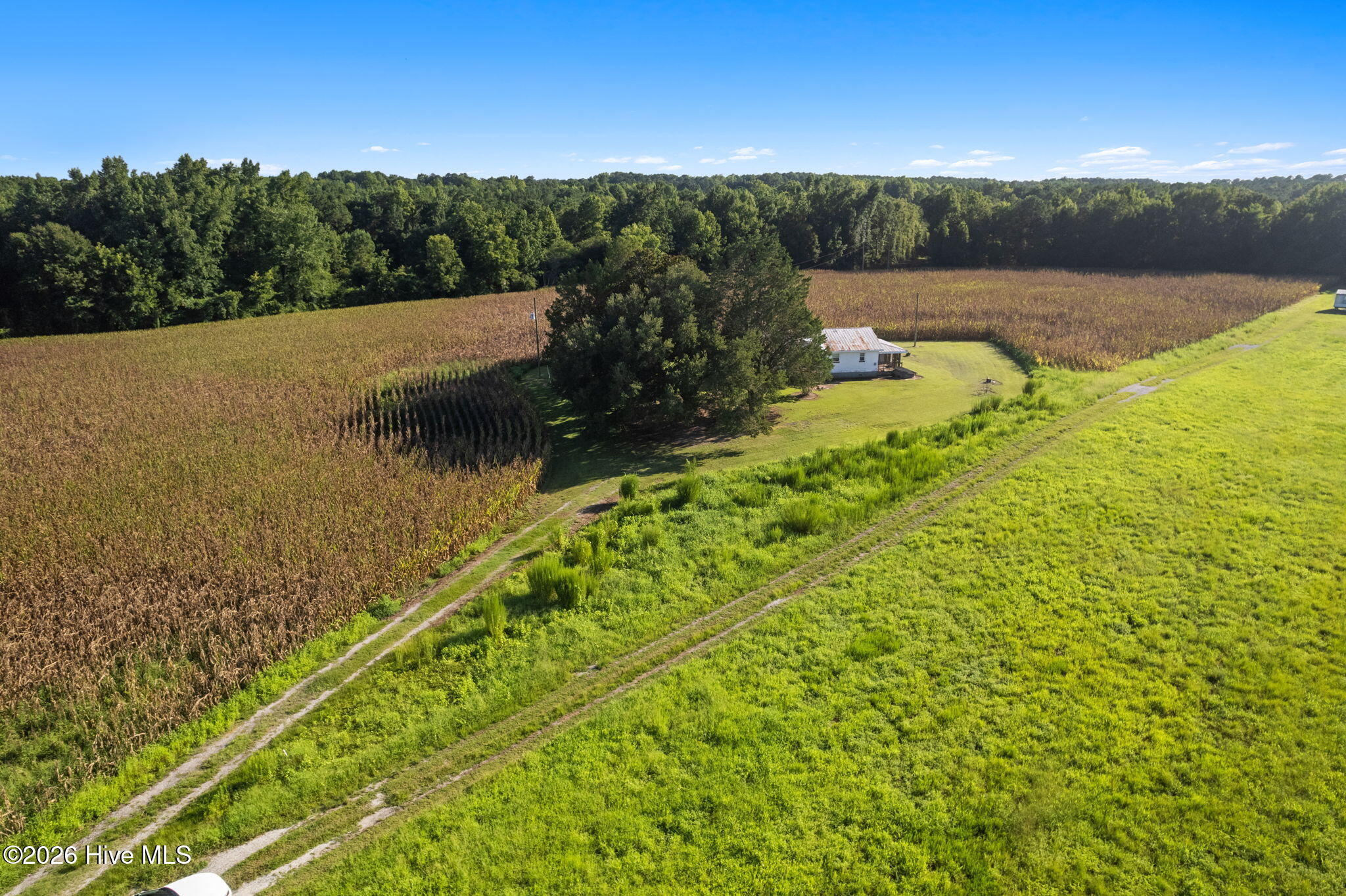 3241 General Howe Road Riegelwood, NC 28456 - Photo 5 of 28 Gallery Image 5