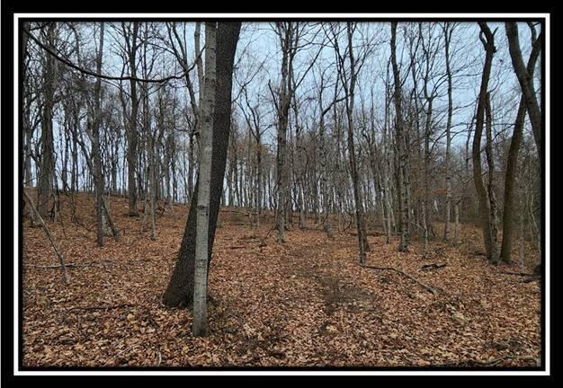 0 Black Run Road, Unit TRACT 8) Chillicothe, OH 45601 - Photo 28 of 47 image030