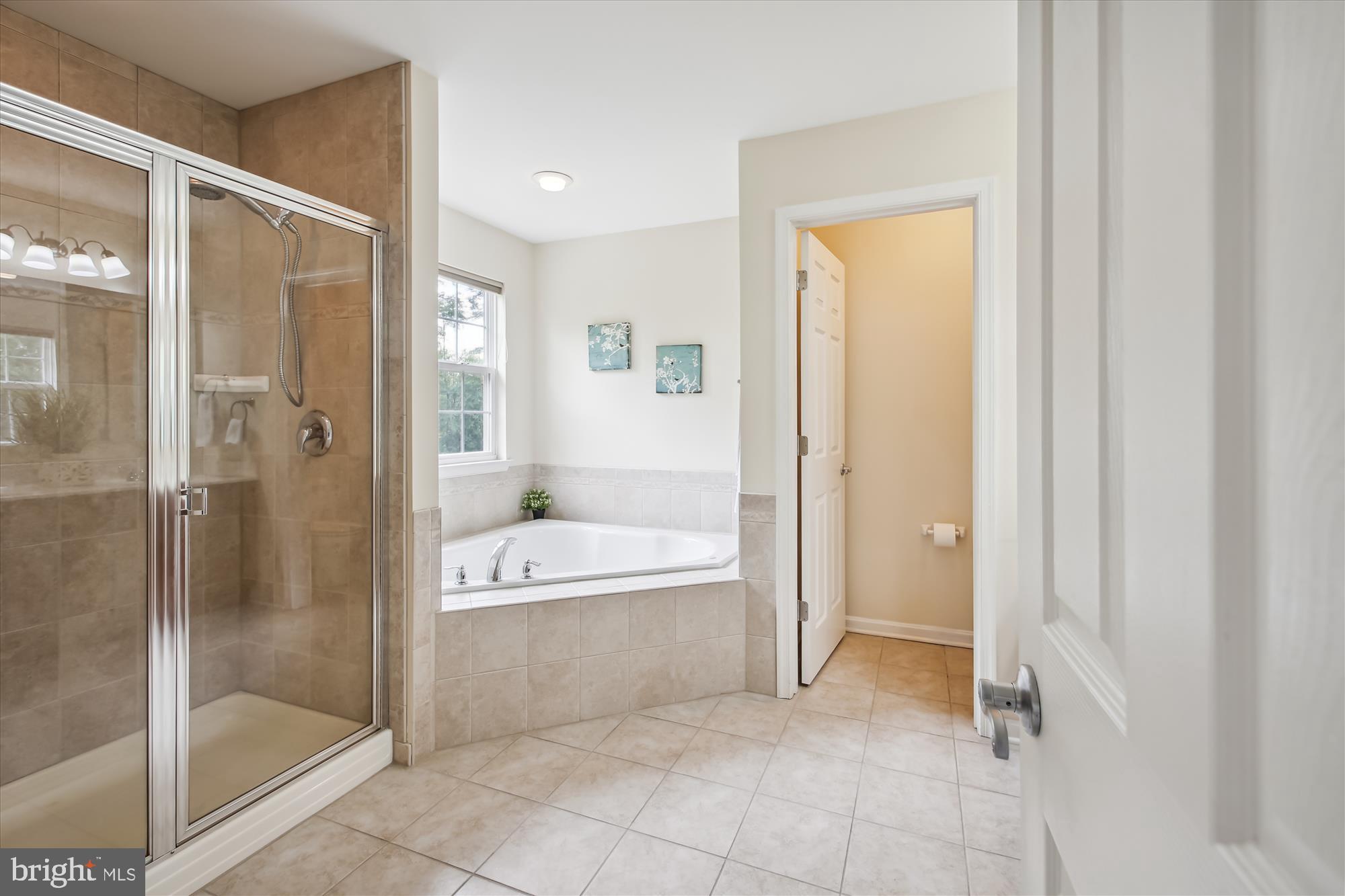 8205 New Cut Road Severn, MD 21144 - Photo 32 of 52 Separate shower and tub