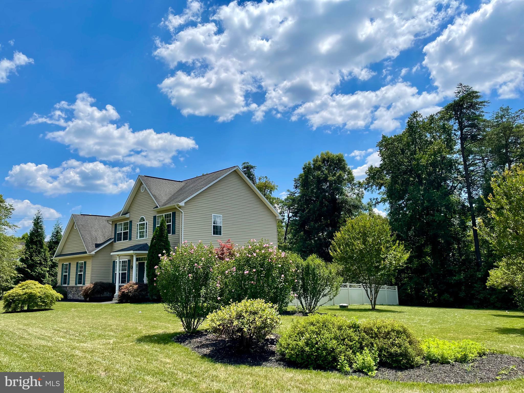 8205 New Cut Road Severn, MD 21144 - Photo 8 of 52 Tons of privacy!
