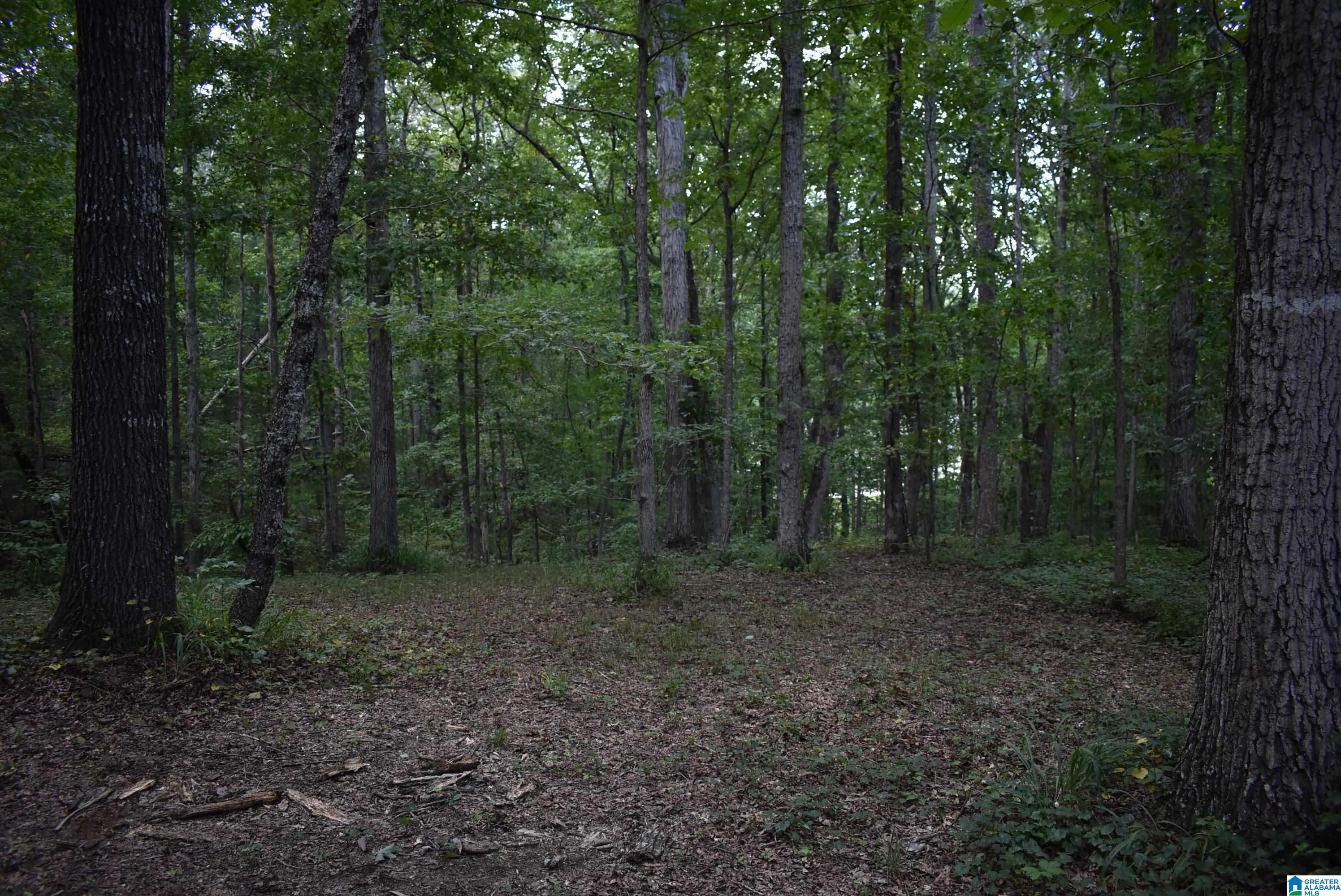 7432 Roper Road, Unit 4 Trussville, AL 35173 - Photo 14 of 19