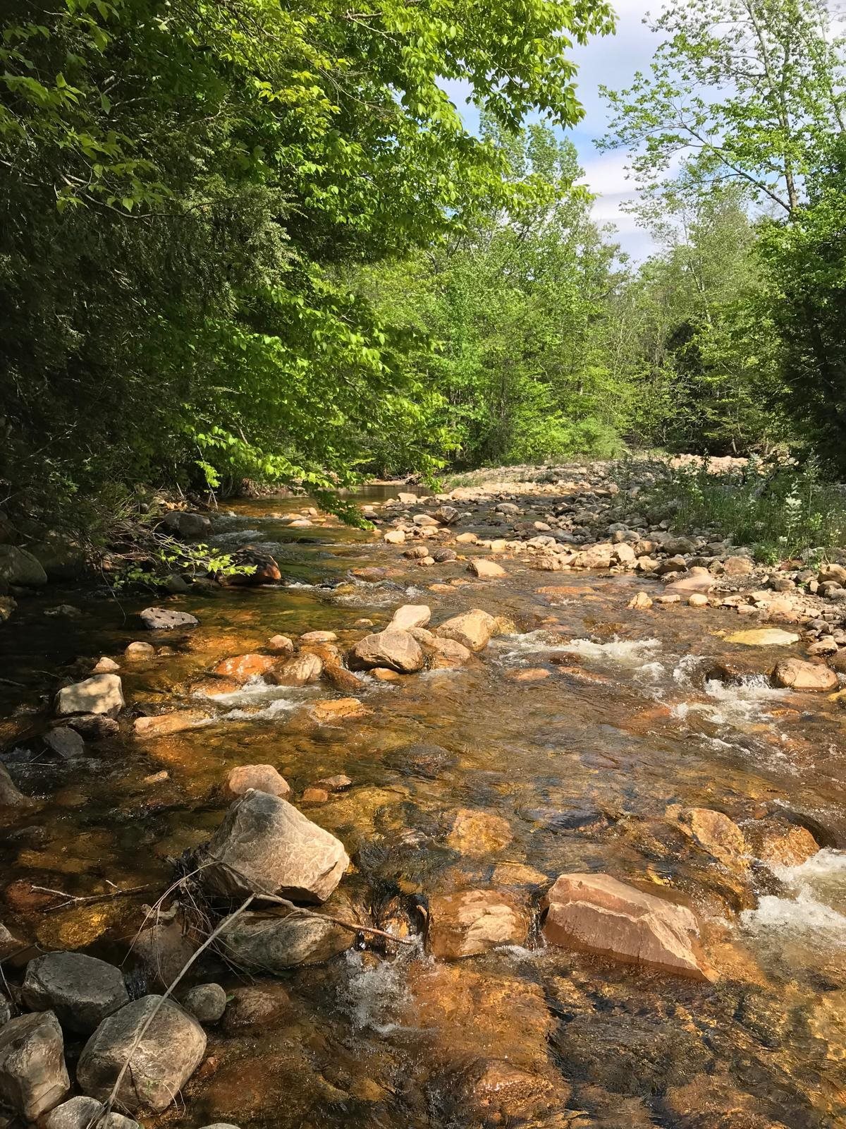 682 East Manchester Road Manchester, VT 05255 - Photo 34 of 35